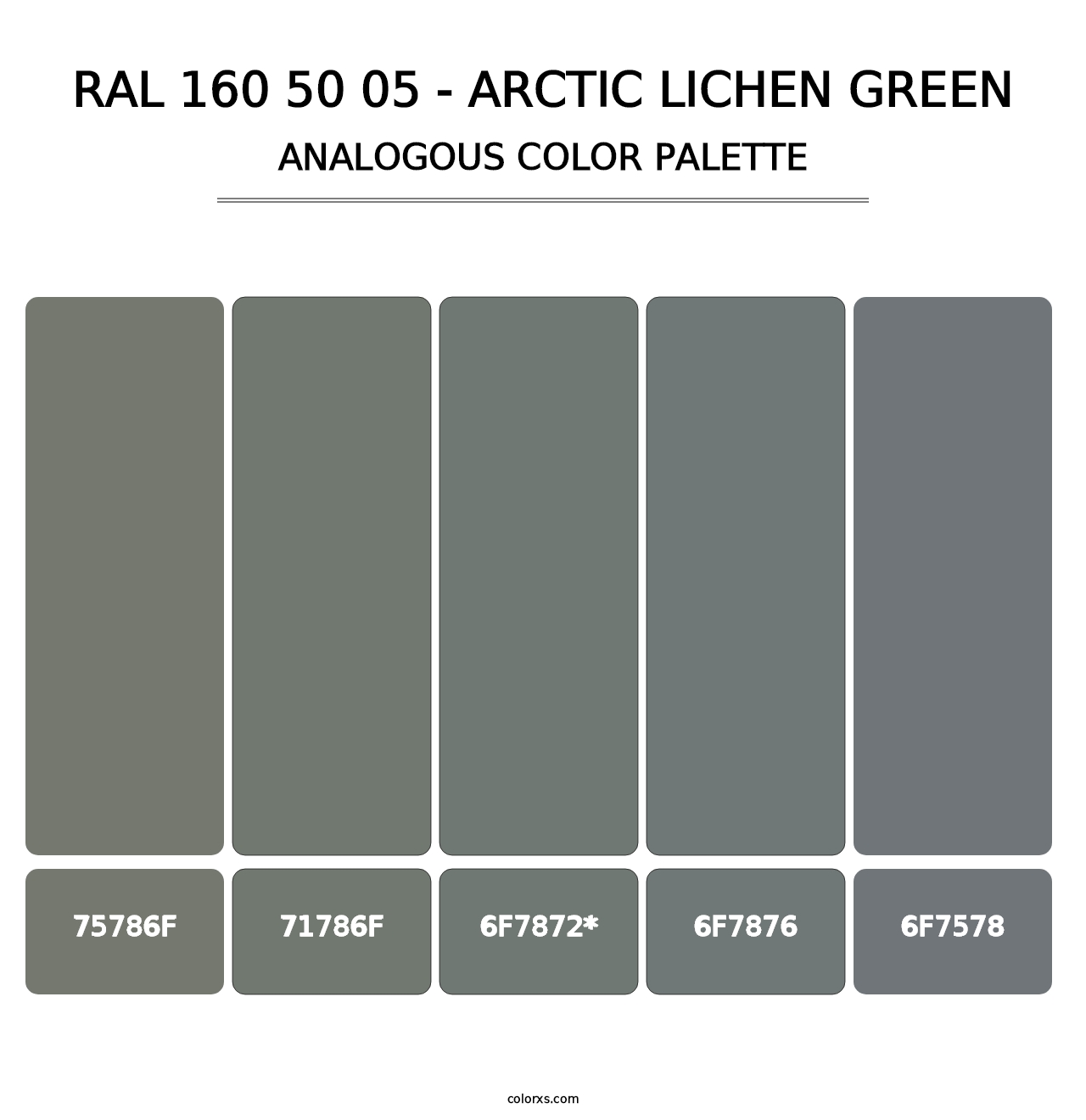 RAL 160 50 05 - Arctic Lichen Green - Analogous Color Palette