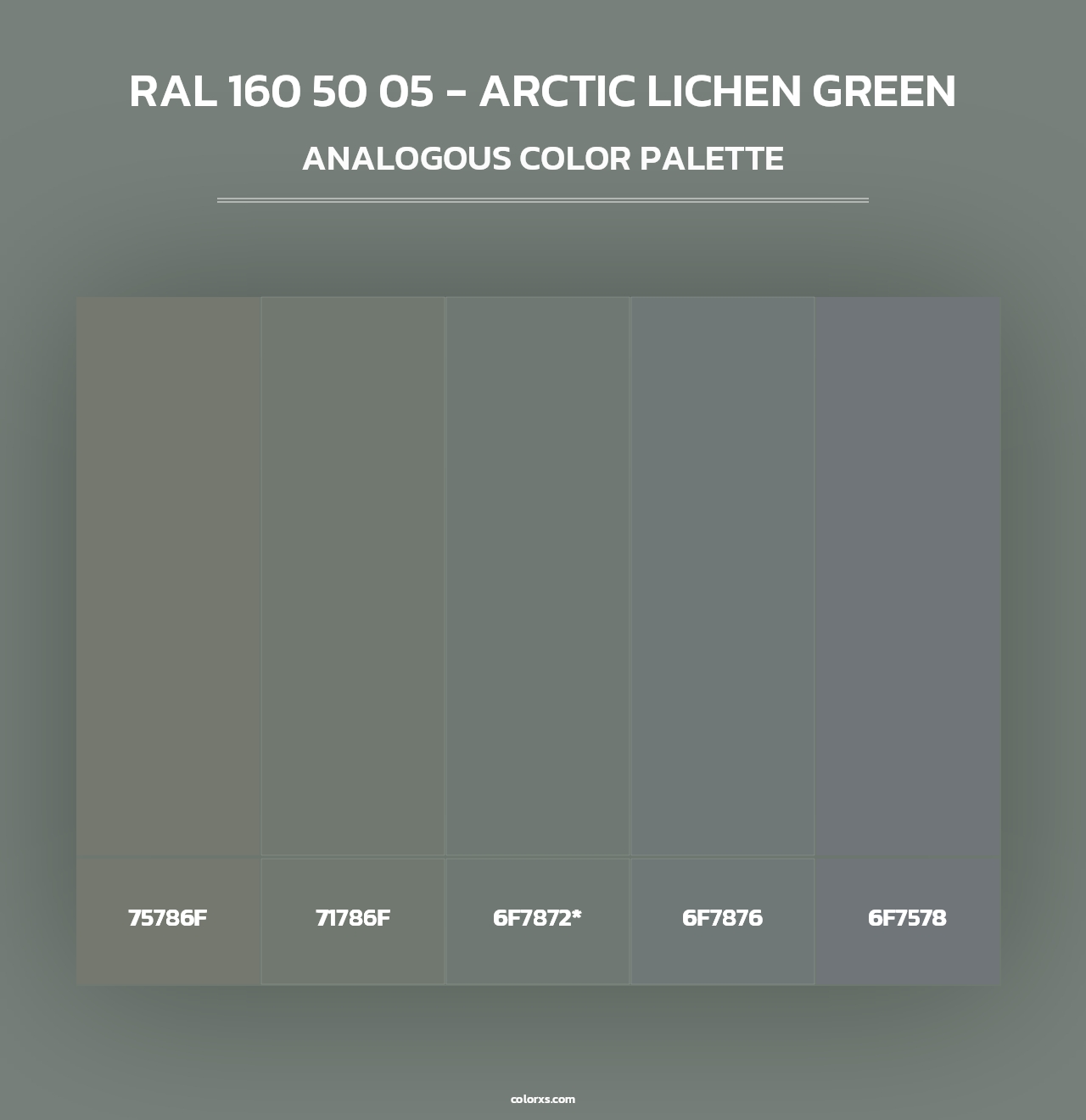 RAL 160 50 05 - Arctic Lichen Green - Analogous Color Palette