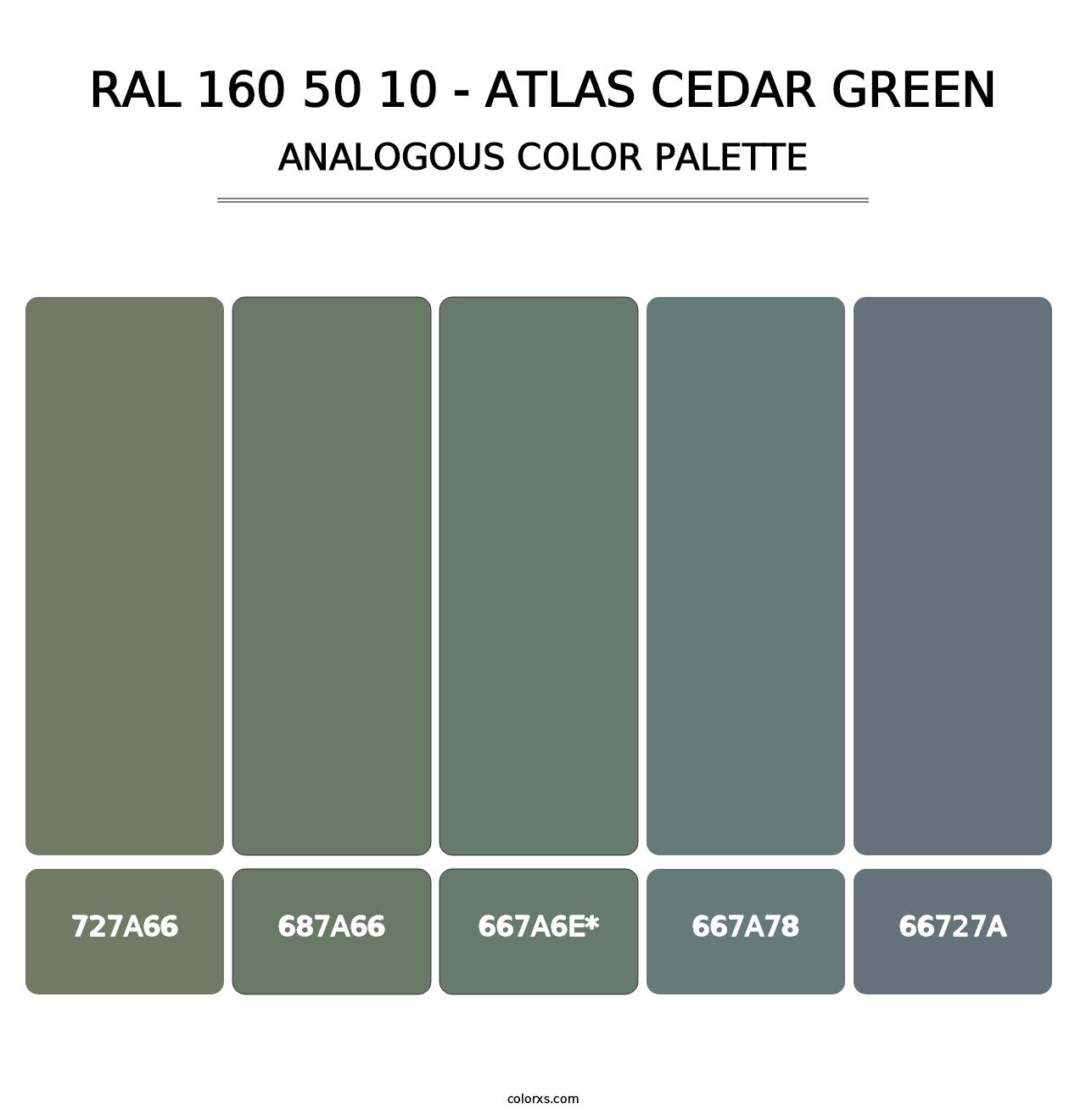 RAL 160 50 10 - Atlas Cedar Green - Analogous Color Palette