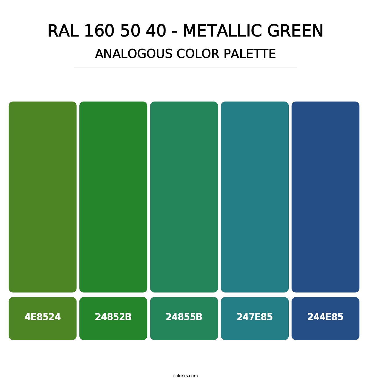 RAL 160 50 40 - Metallic Green - Analogous Color Palette
