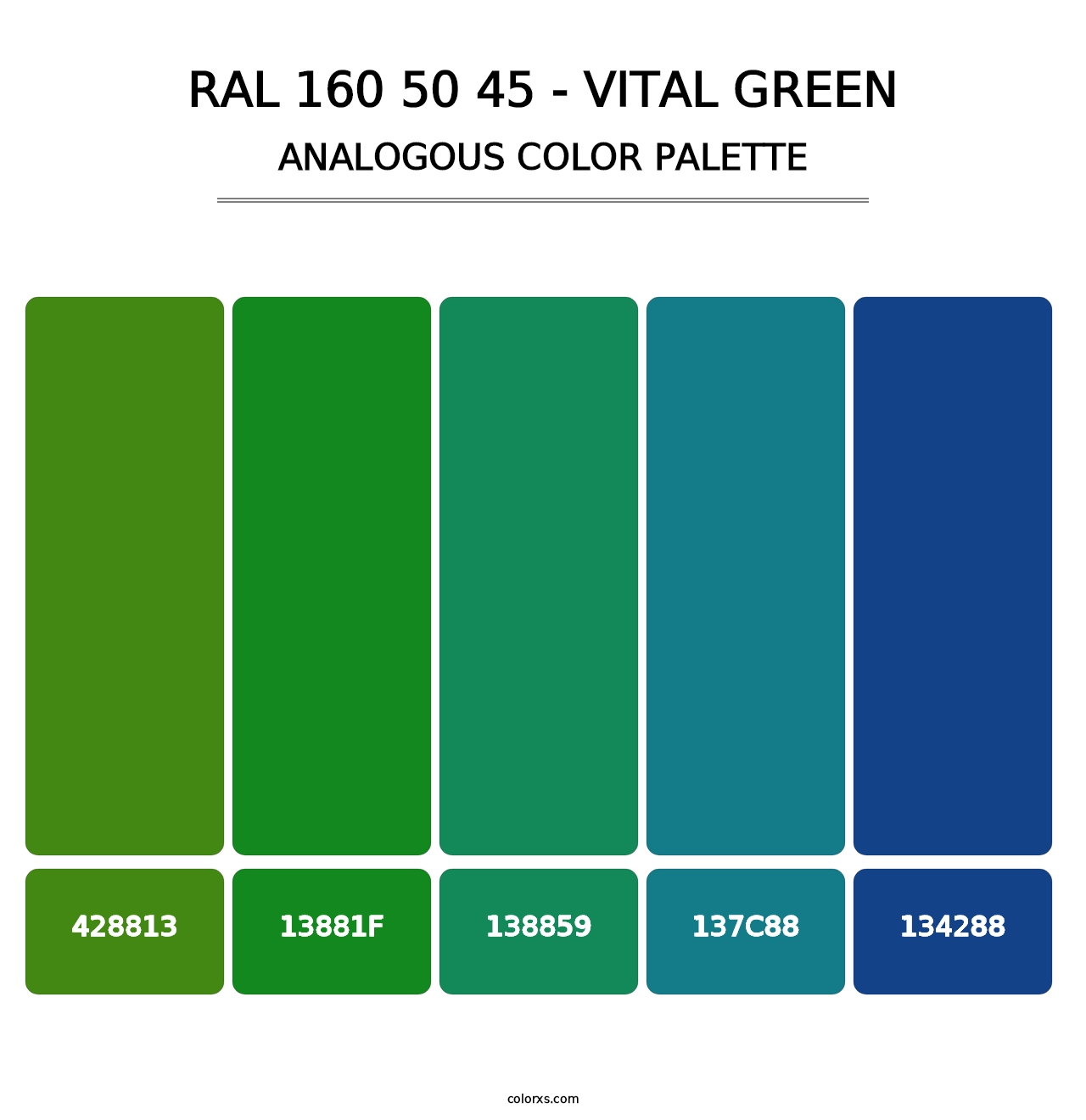 RAL 160 50 45 - Vital Green - Analogous Color Palette