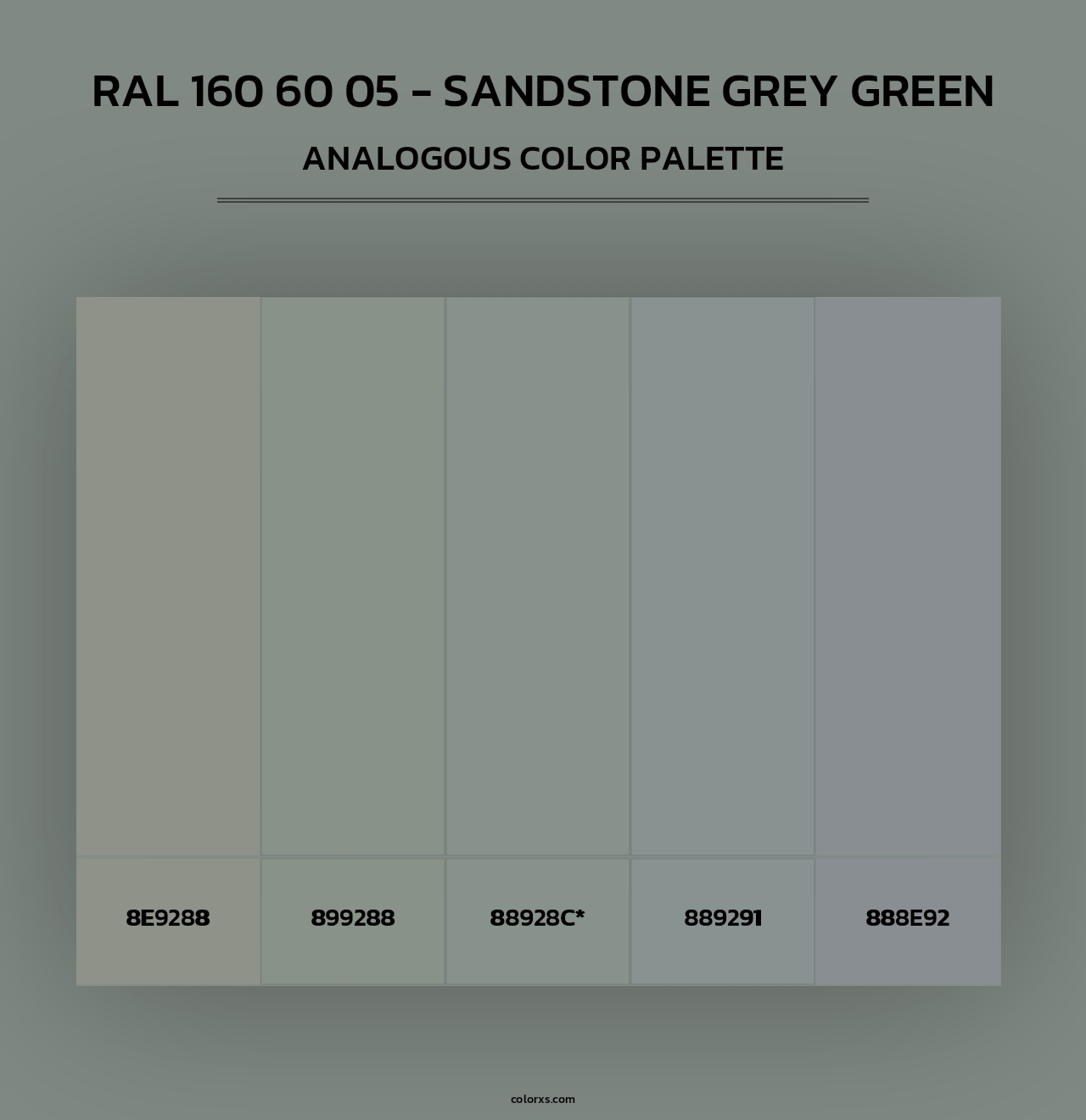 RAL 160 60 05 - Sandstone Grey Green - Analogous Color Palette