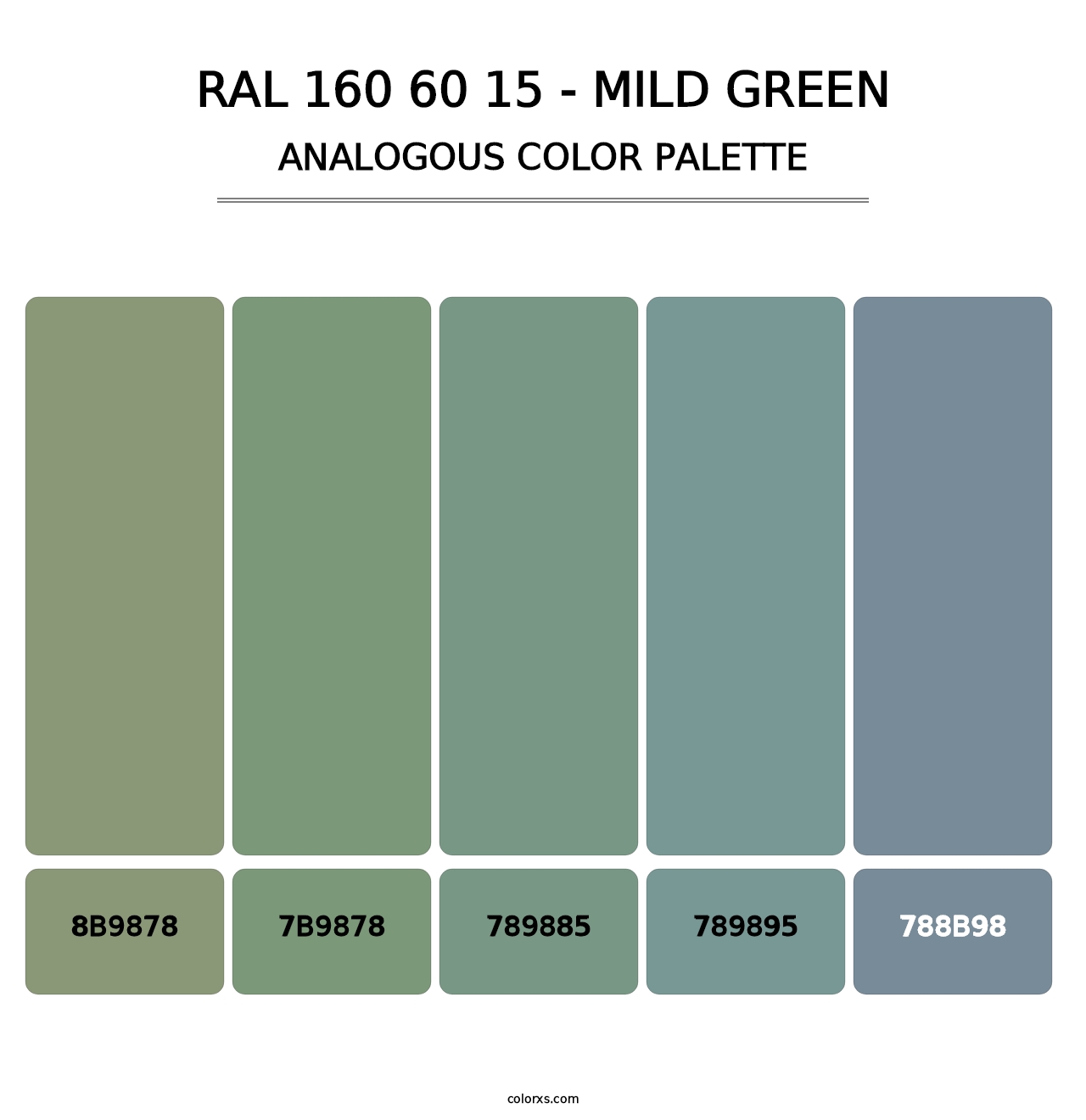 RAL 160 60 15 - Mild Green - Analogous Color Palette