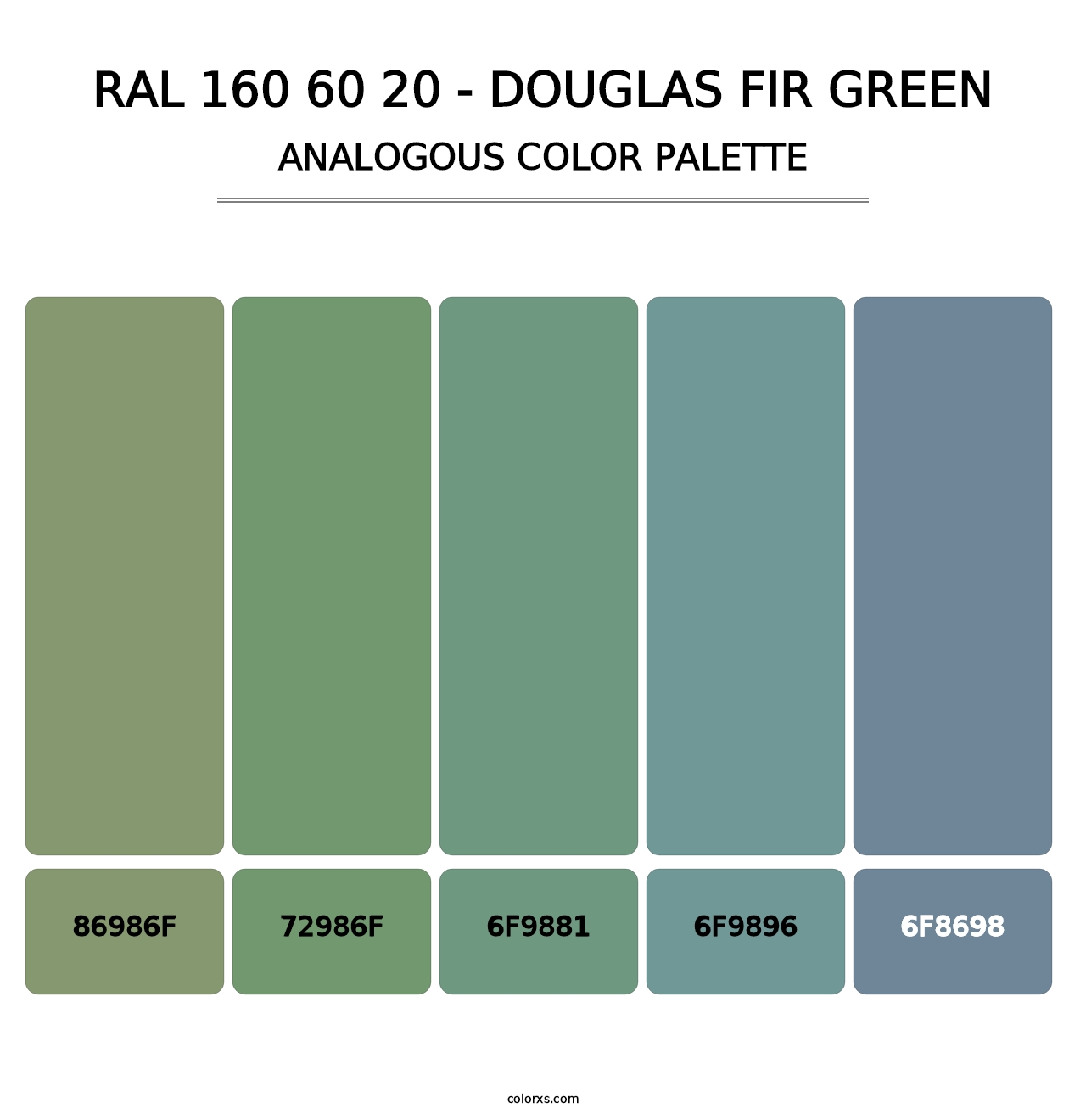 RAL 160 60 20 - Douglas Fir Green - Analogous Color Palette