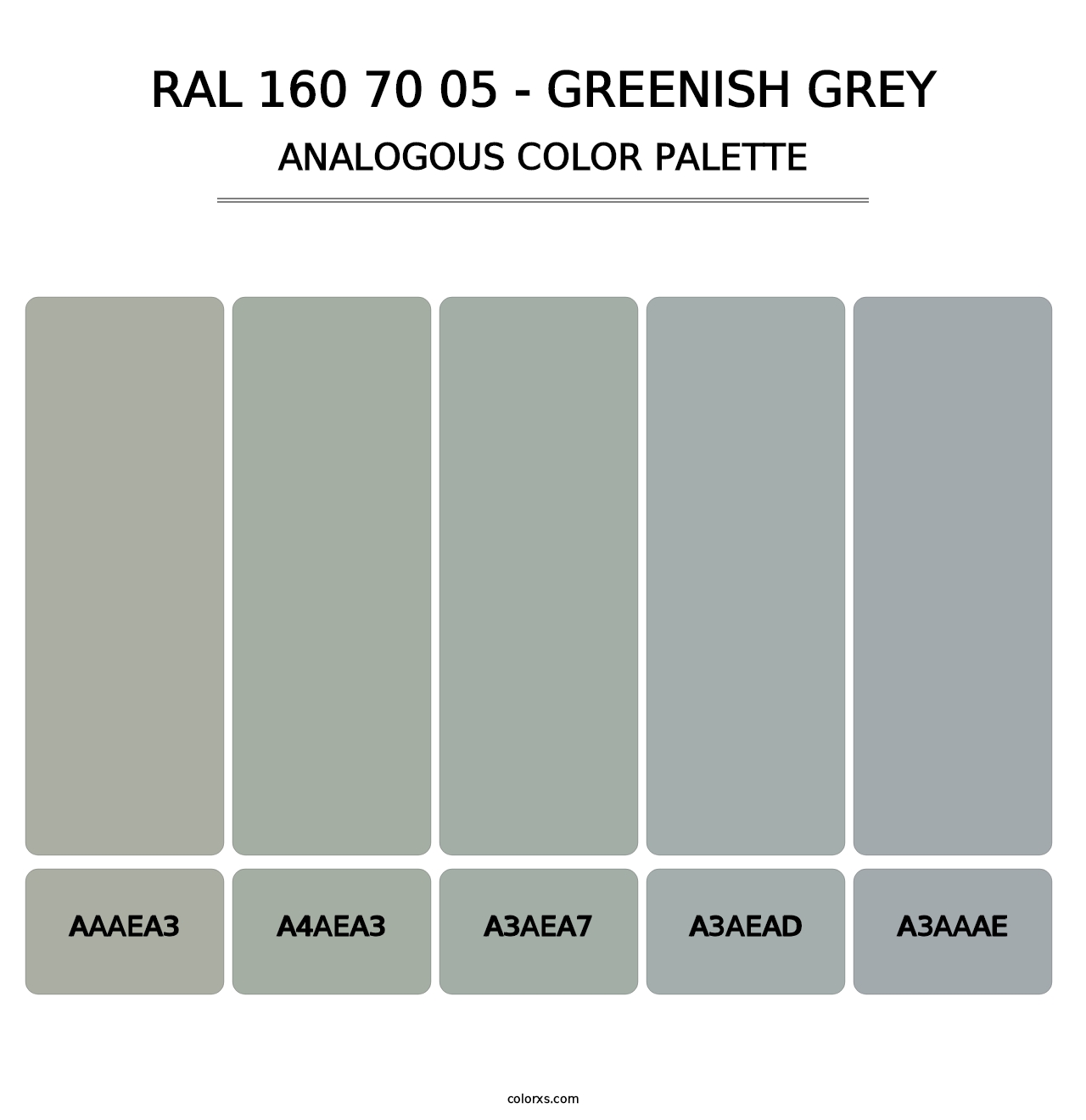 RAL 160 70 05 - Greenish Grey - Analogous Color Palette