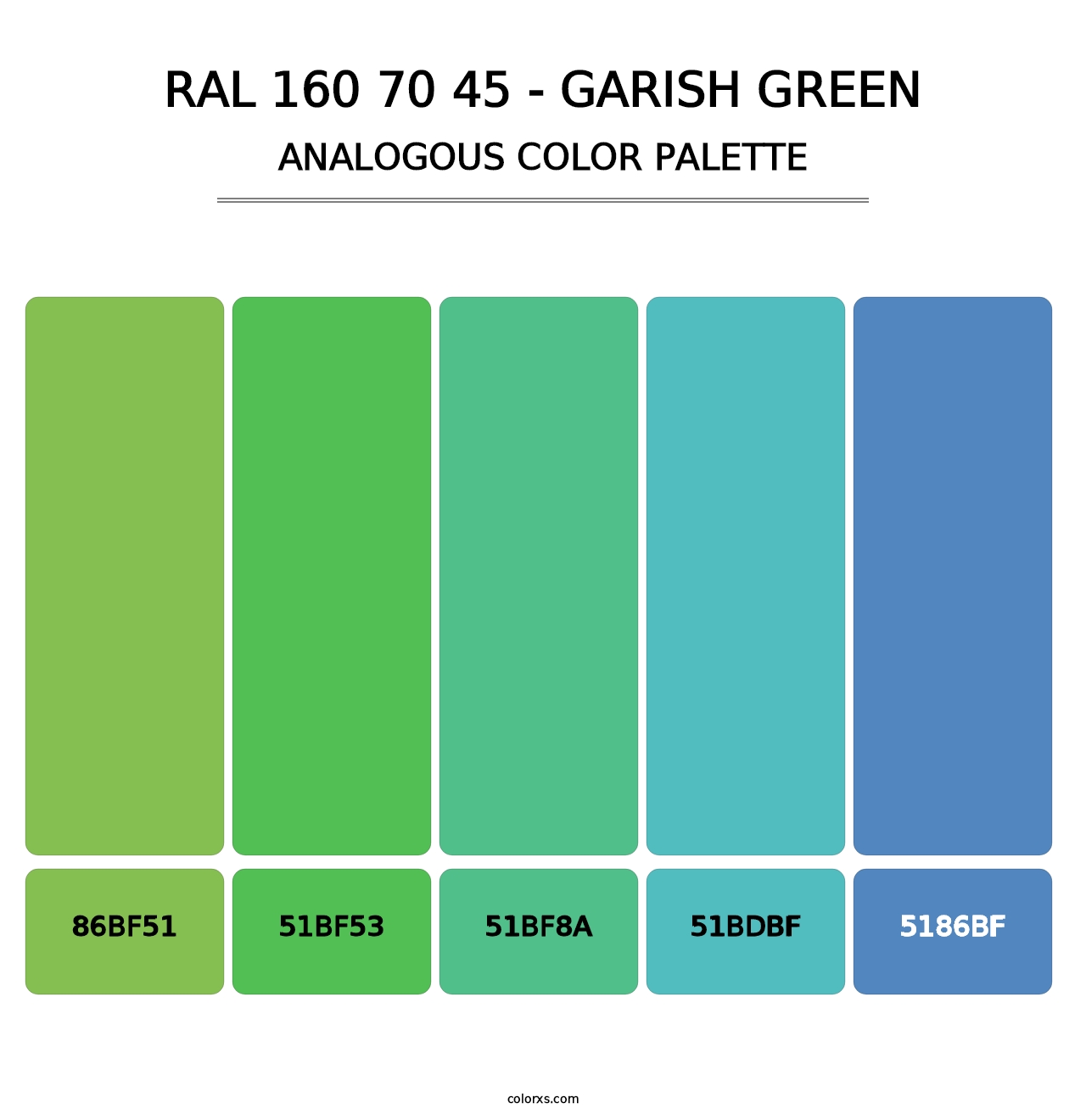 RAL 160 70 45 - Garish Green - Analogous Color Palette