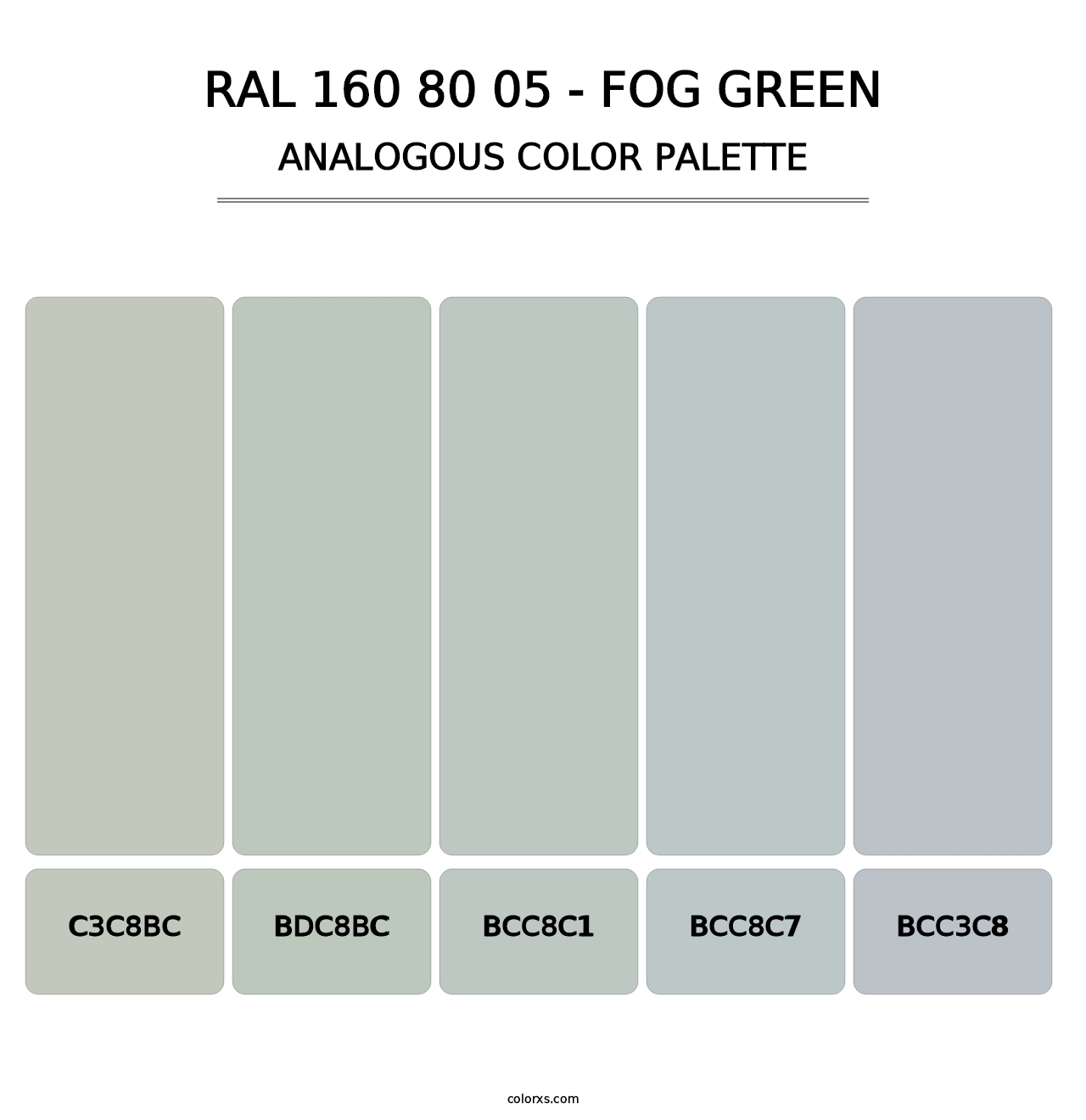 RAL 160 80 05 - Fog Green - Analogous Color Palette