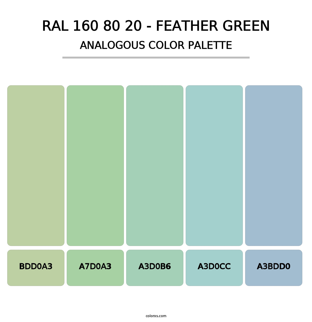 RAL 160 80 20 - Feather Green - Analogous Color Palette