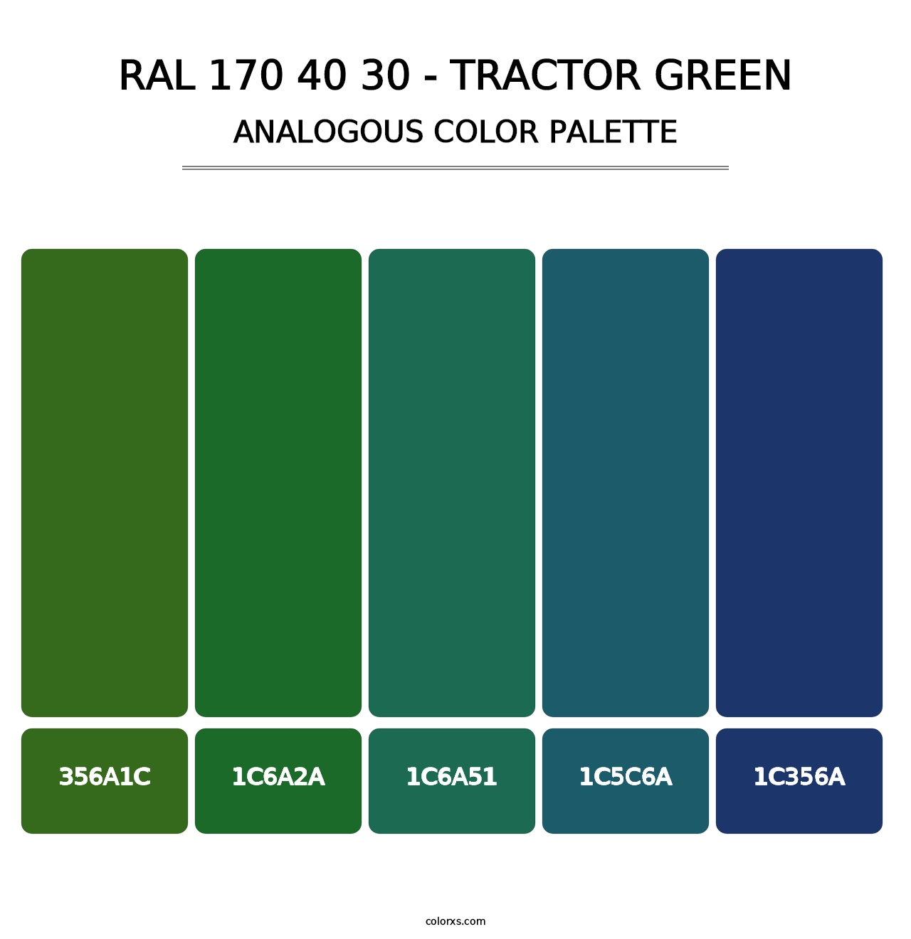 RAL 170 40 30 - Tractor Green - Analogous Color Palette
