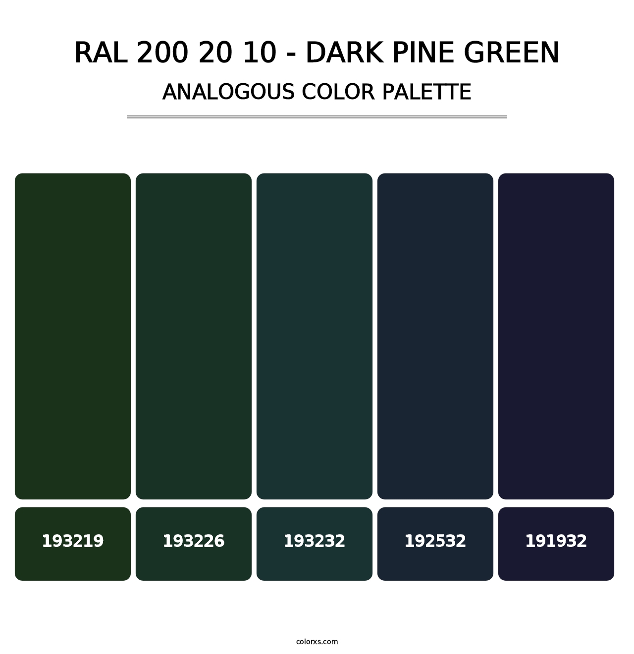 RAL 200 20 10 - Dark Pine Green - Analogous Color Palette