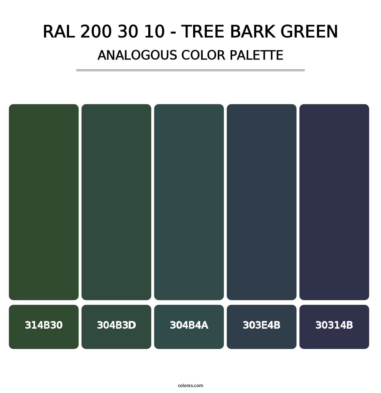 RAL 200 30 10 - Tree Bark Green - Analogous Color Palette
