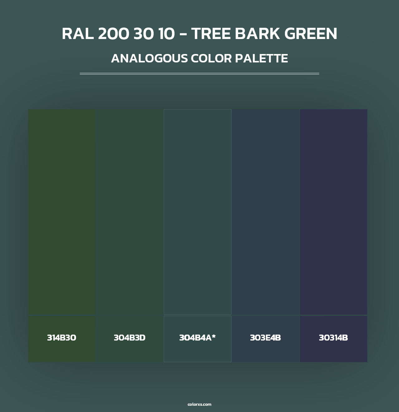 RAL 200 30 10 - Tree Bark Green - Analogous Color Palette