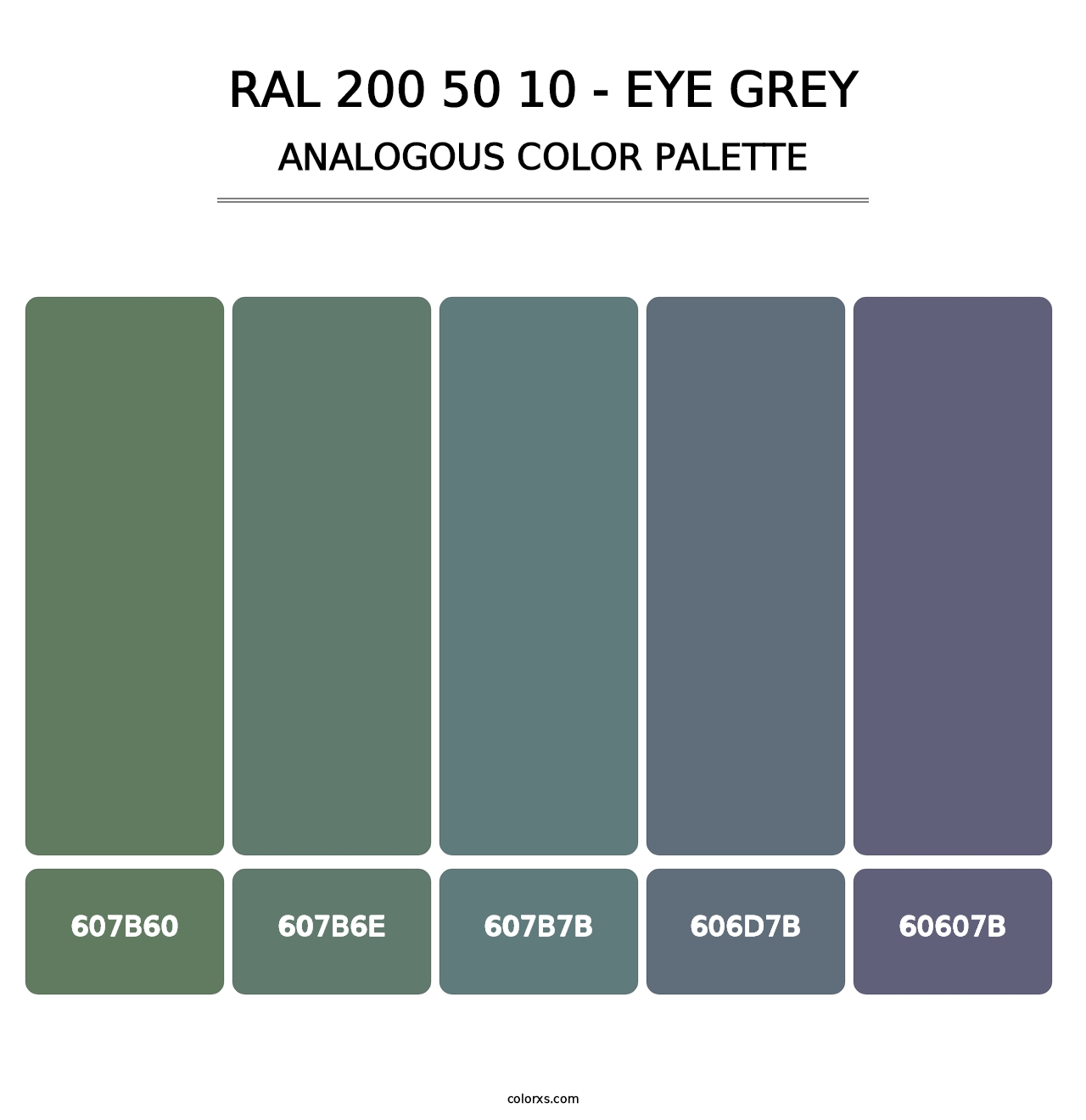 RAL 200 50 10 - Eye Grey - Analogous Color Palette