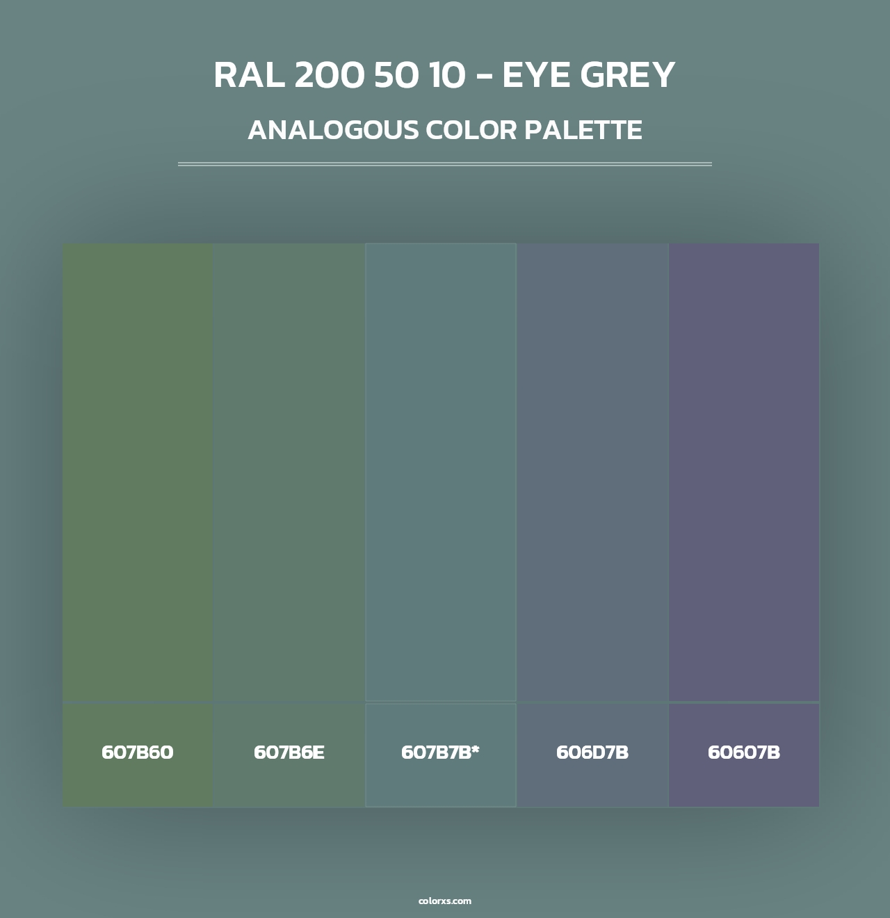 RAL 200 50 10 - Eye Grey - Analogous Color Palette