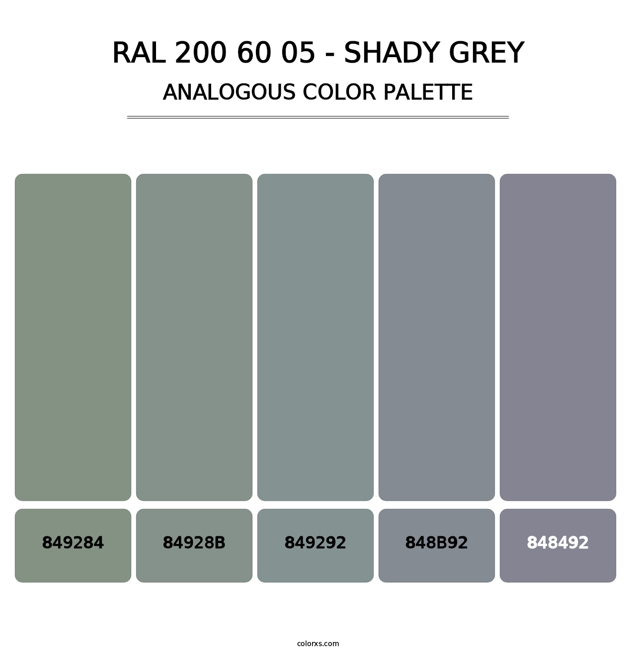RAL 200 60 05 - Shady Grey - Analogous Color Palette