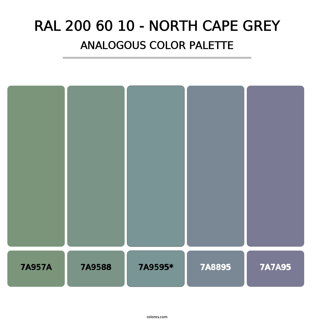 RAL 200 60 10 - North Cape Grey - Analogous Color Palette
