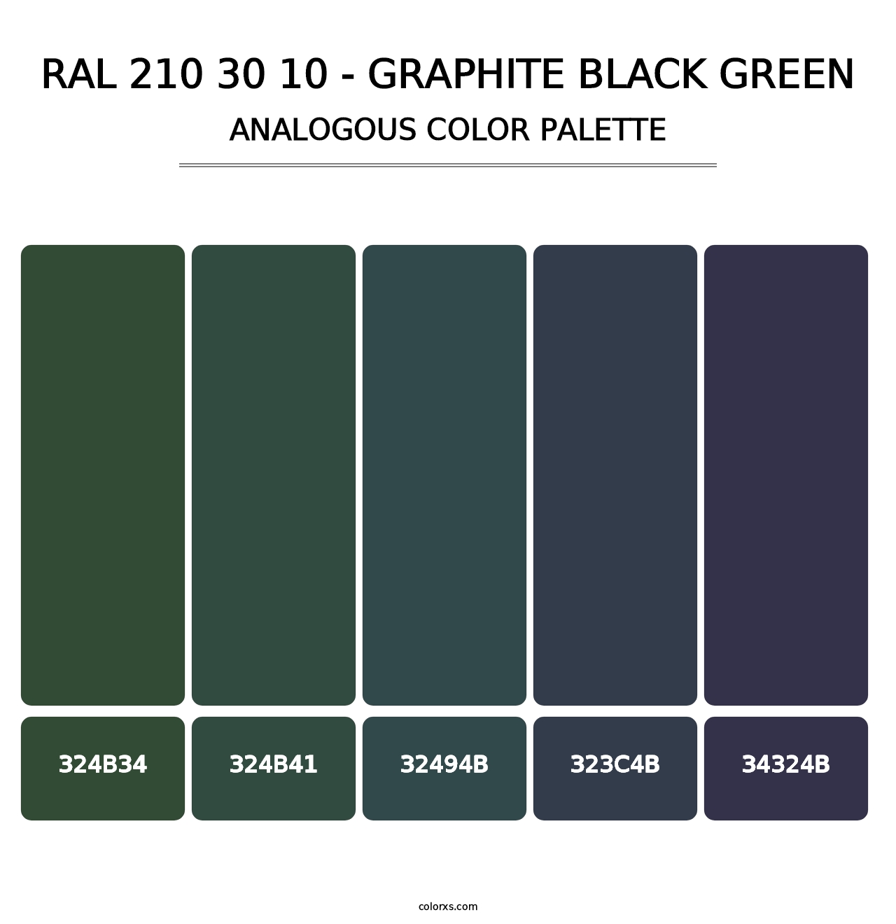 RAL 210 30 10 - Graphite Black Green - Analogous Color Palette