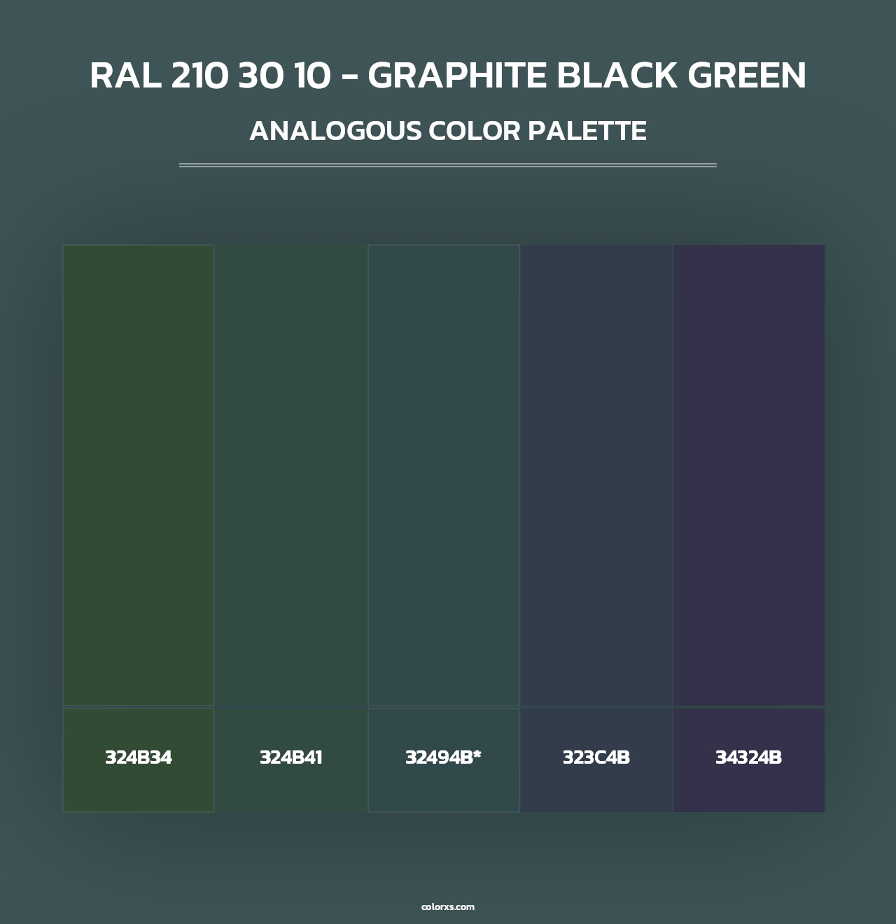 RAL 210 30 10 - Graphite Black Green - Analogous Color Palette