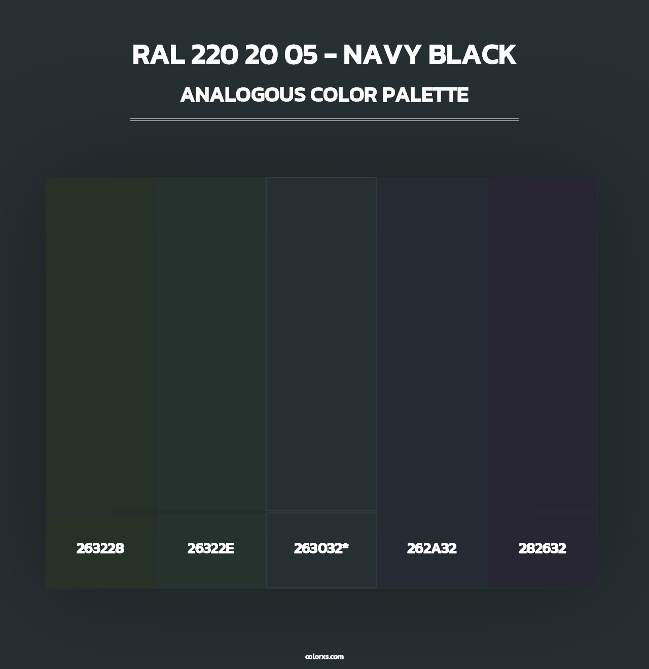 RAL 220 20 05 - Navy Black - Analogous Color Palette