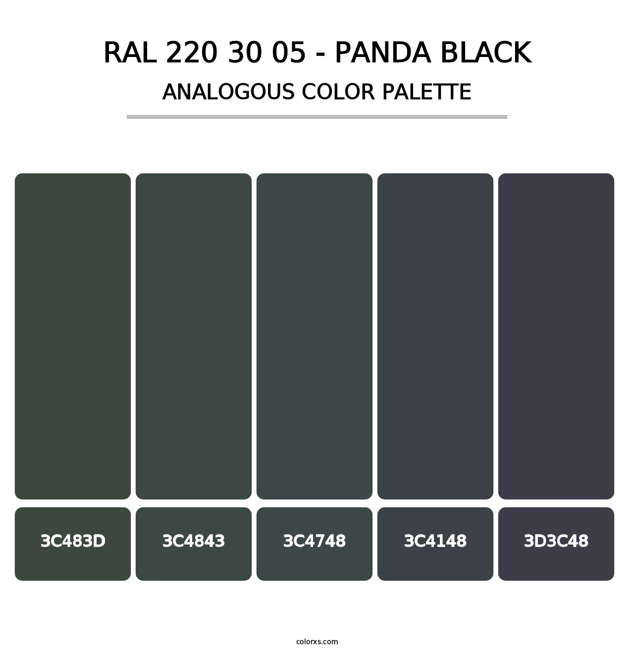 RAL 220 30 05 - Panda Black - Analogous Color Palette