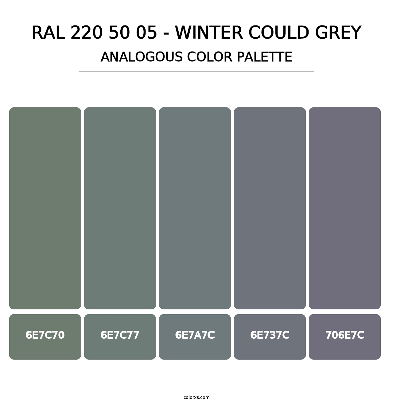 RAL 220 50 05 - Winter Could Grey - Analogous Color Palette