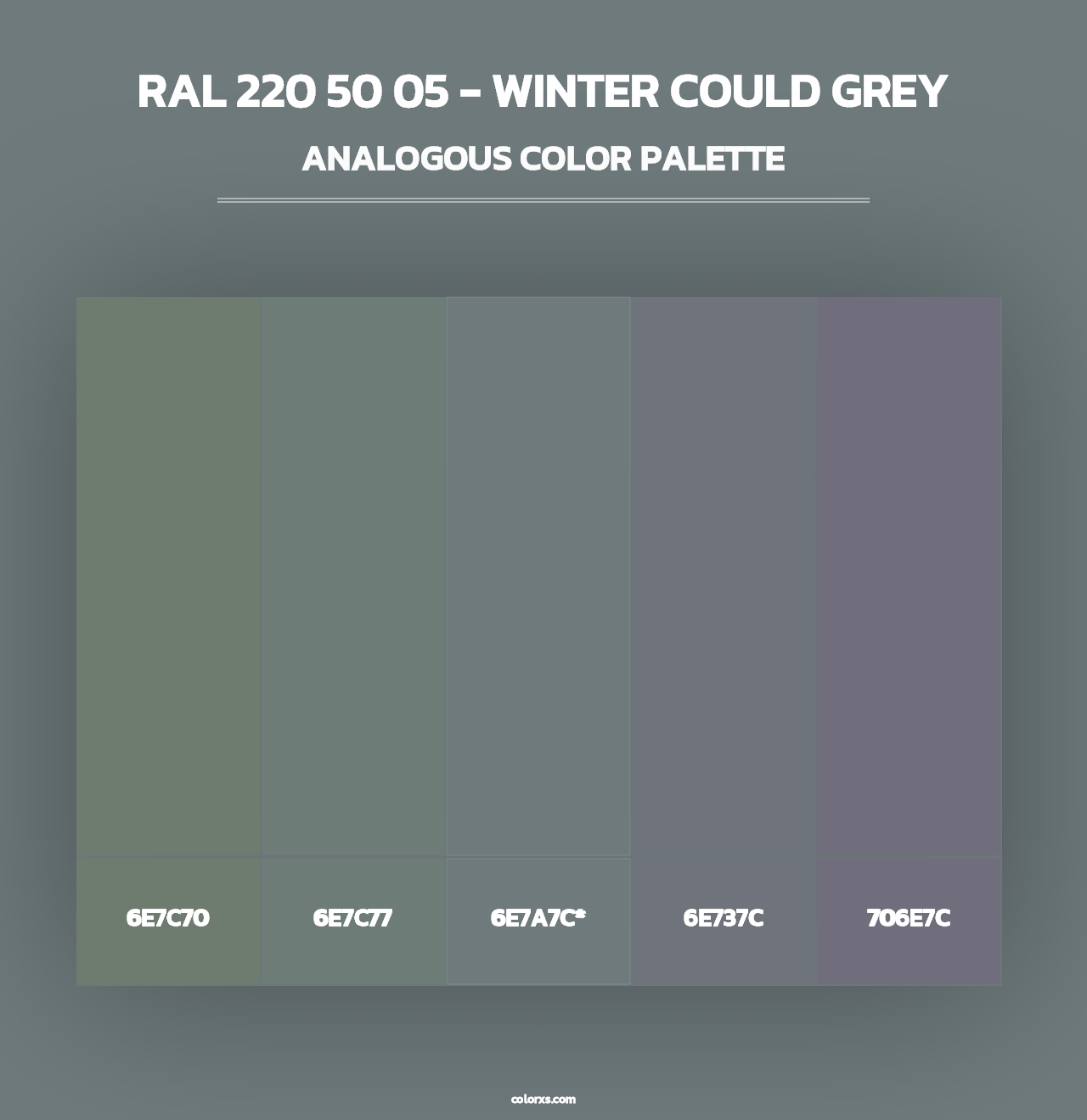 RAL 220 50 05 - Winter Could Grey - Analogous Color Palette