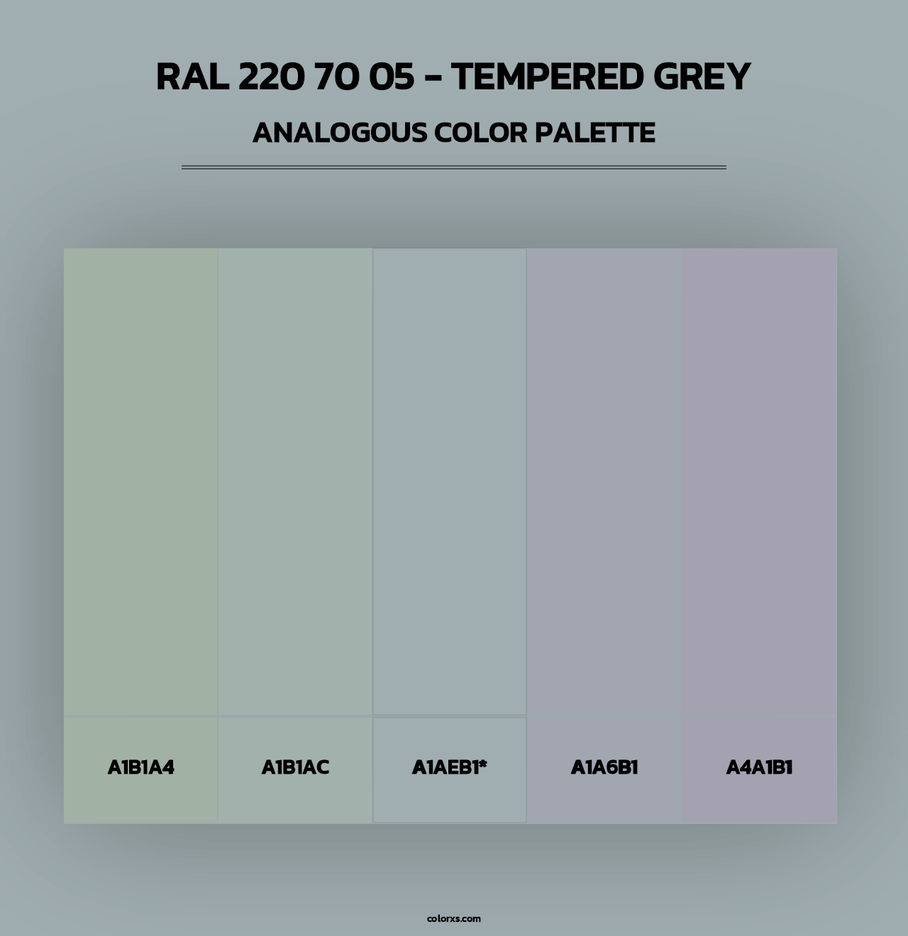 RAL 220 70 05 - Tempered Grey - Analogous Color Palette