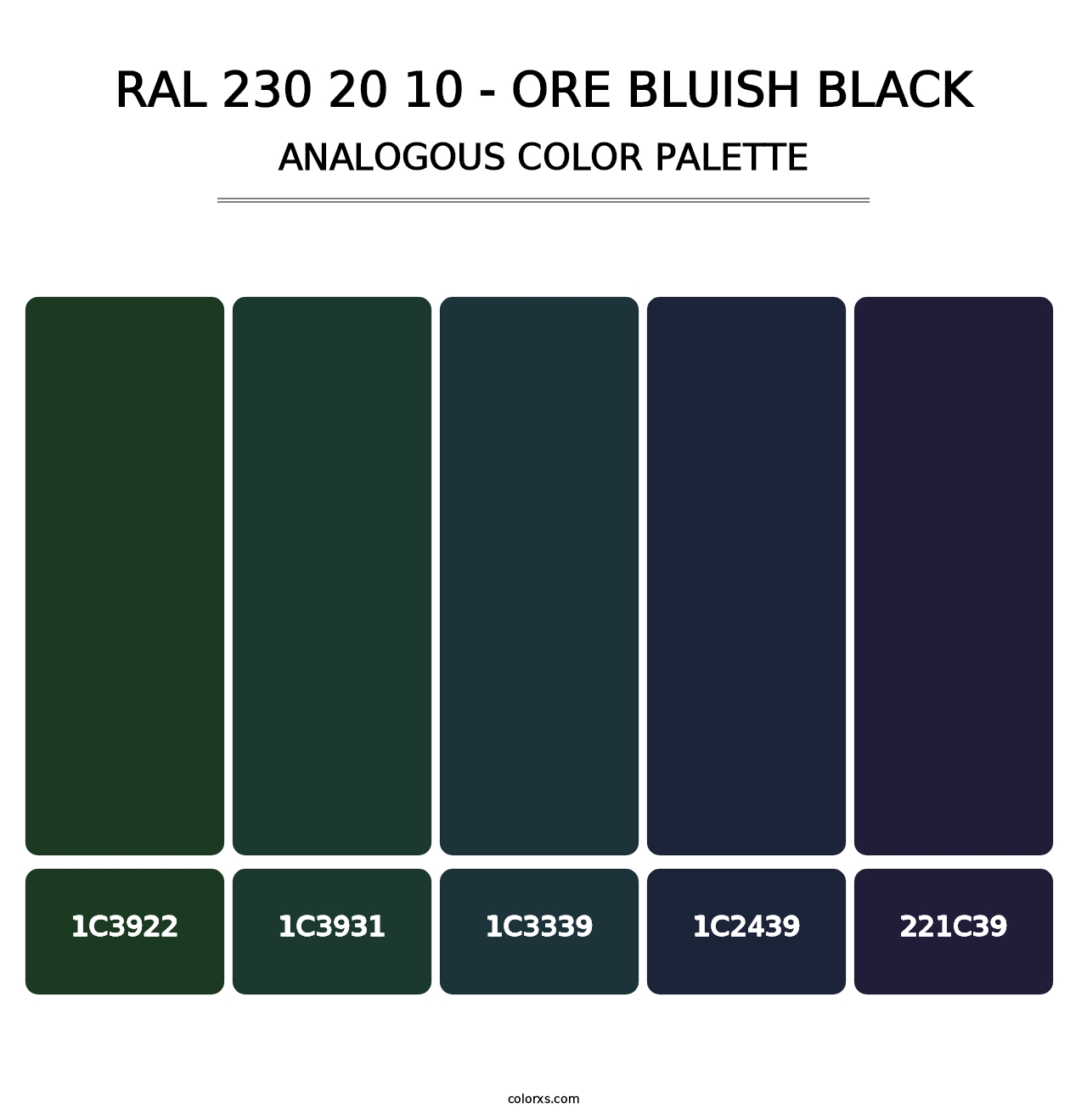 RAL 230 20 10 - Ore Bluish Black - Analogous Color Palette