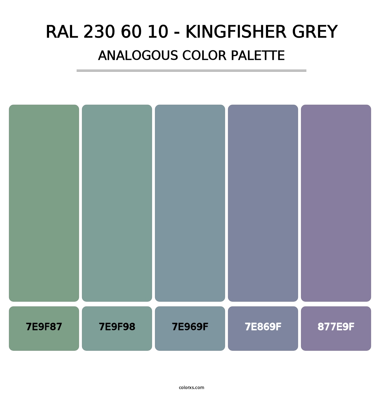 RAL 230 60 10 - Kingfisher Grey - Analogous Color Palette