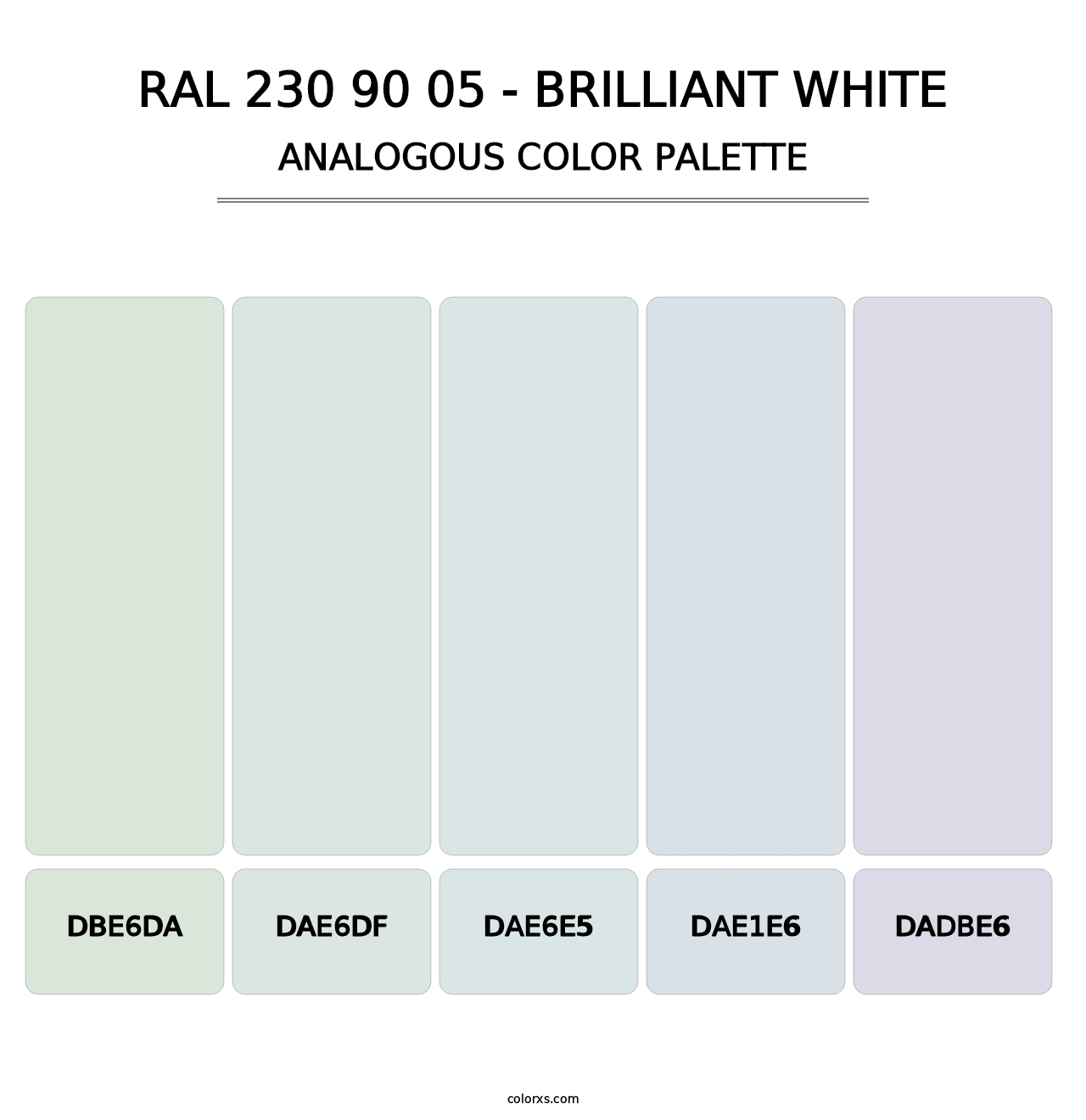 RAL 230 90 05 - Brilliant White - Analogous Color Palette