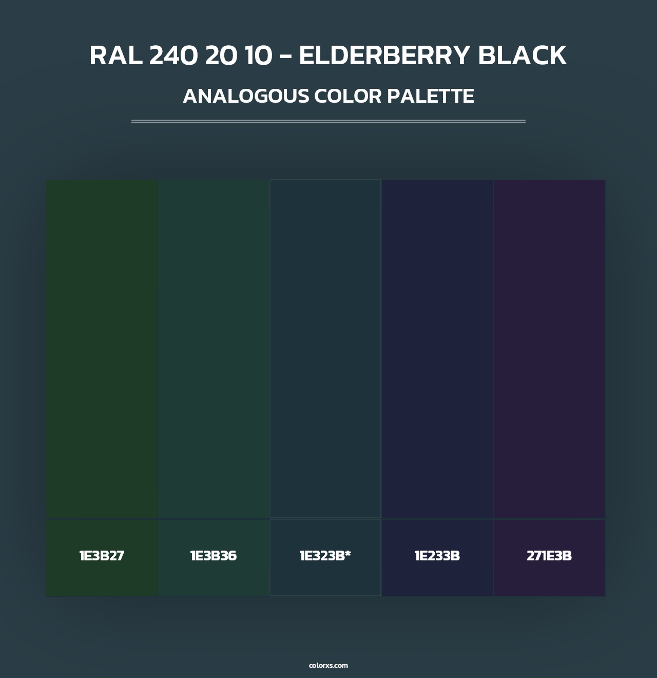 RAL 240 20 10 - Elderberry Black - Analogous Color Palette