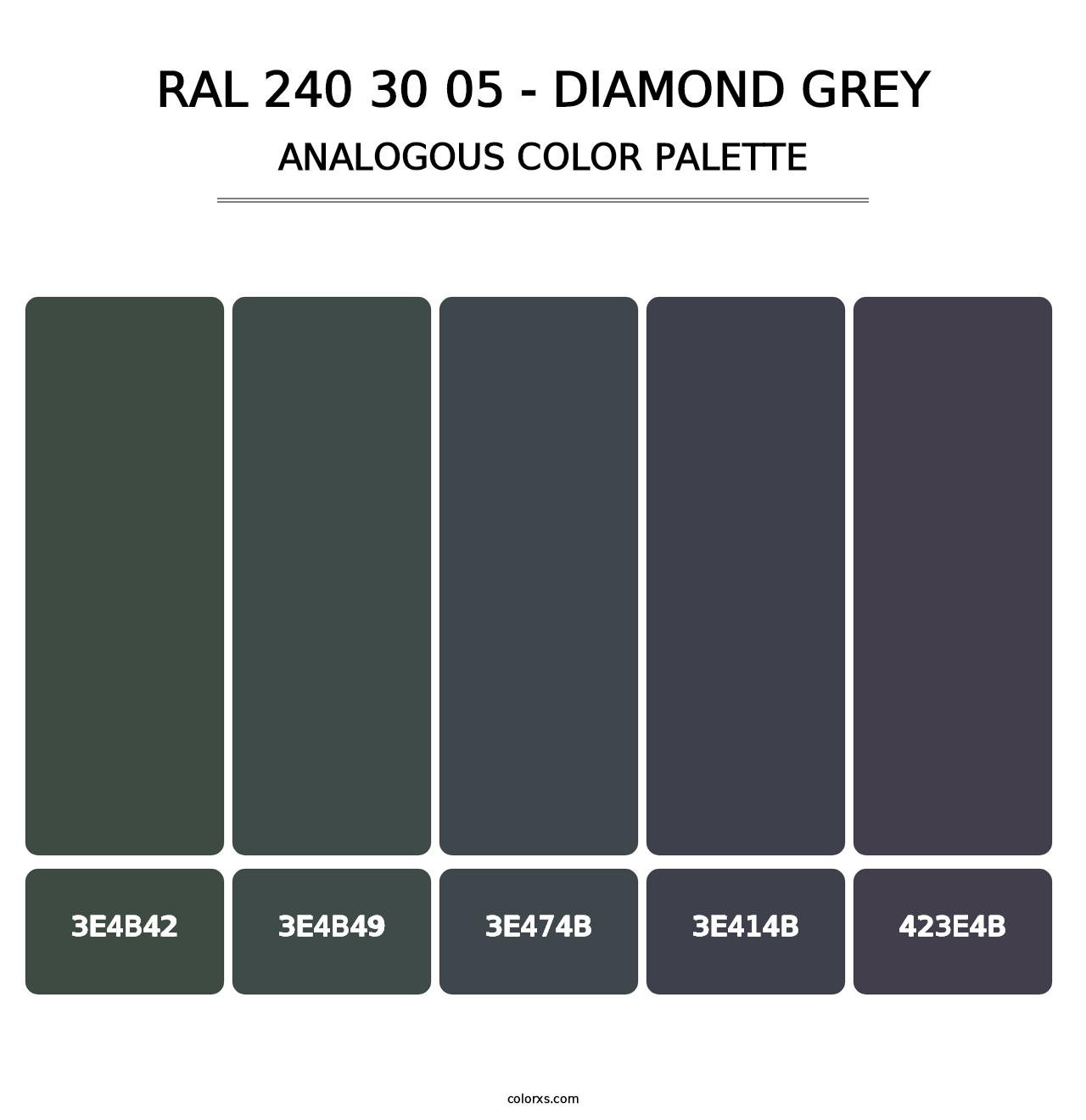 RAL 240 30 05 - Diamond Grey - Analogous Color Palette