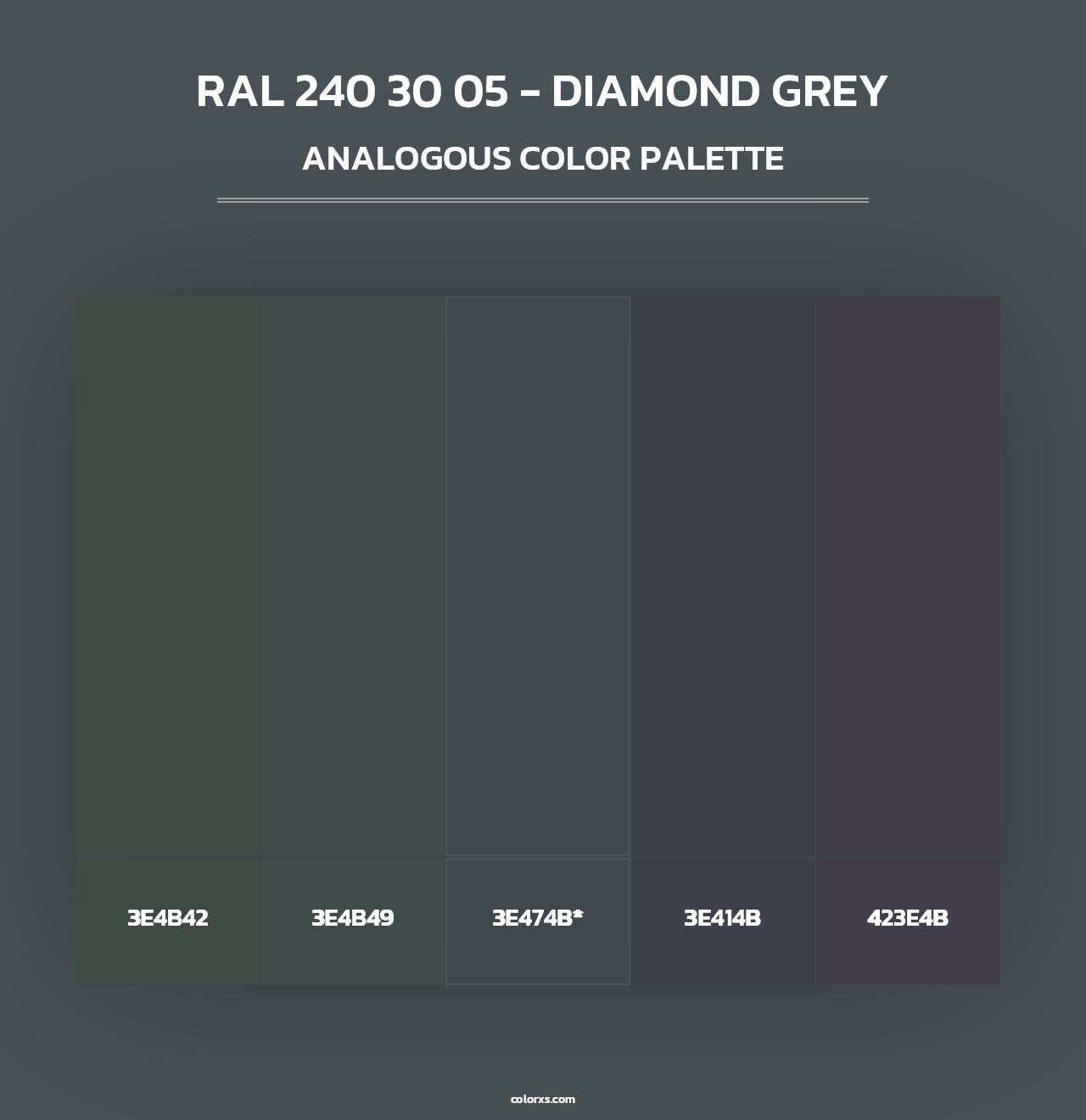 RAL 240 30 05 - Diamond Grey - Analogous Color Palette