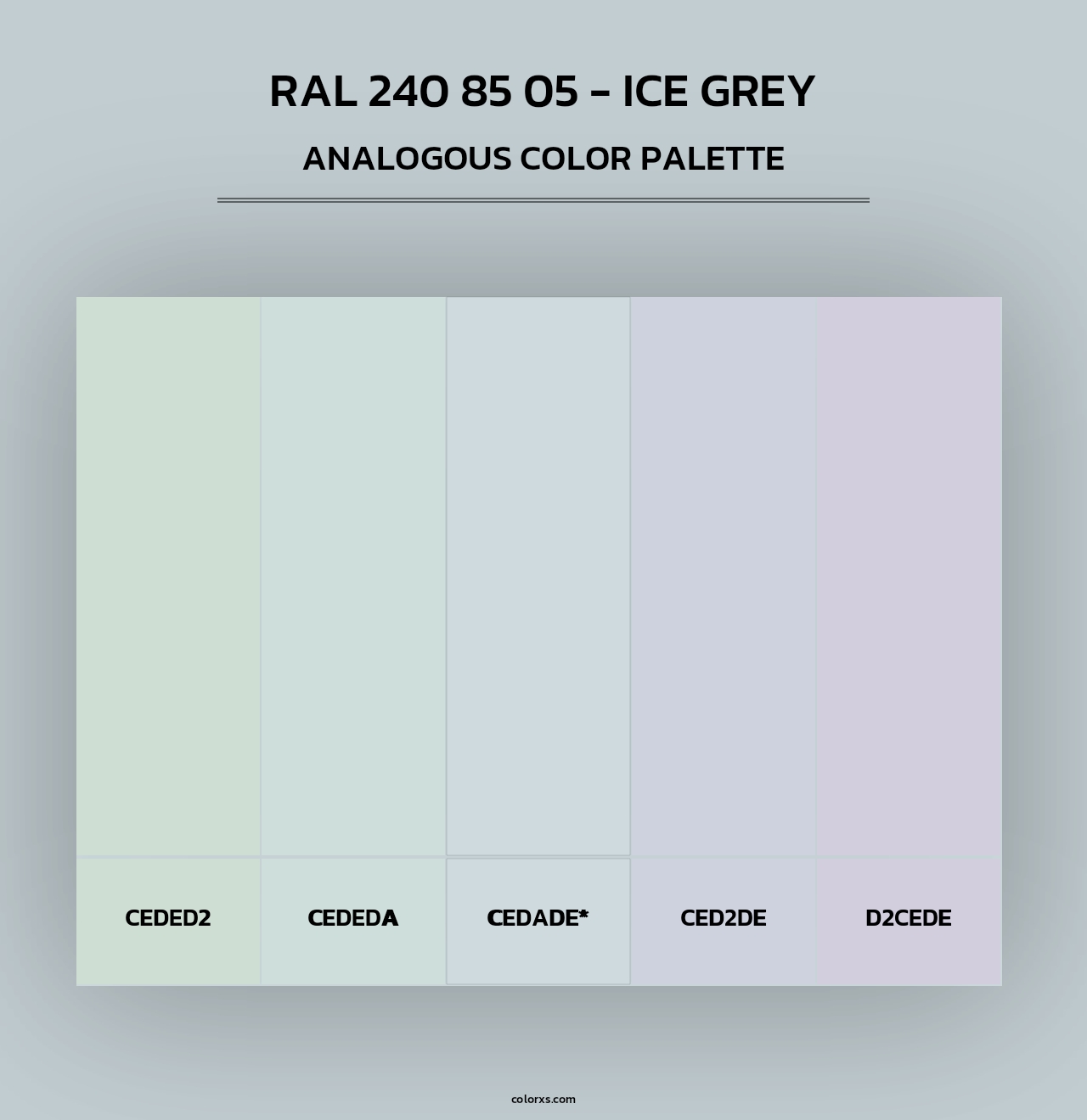 RAL 240 85 05 - Ice Grey - Analogous Color Palette