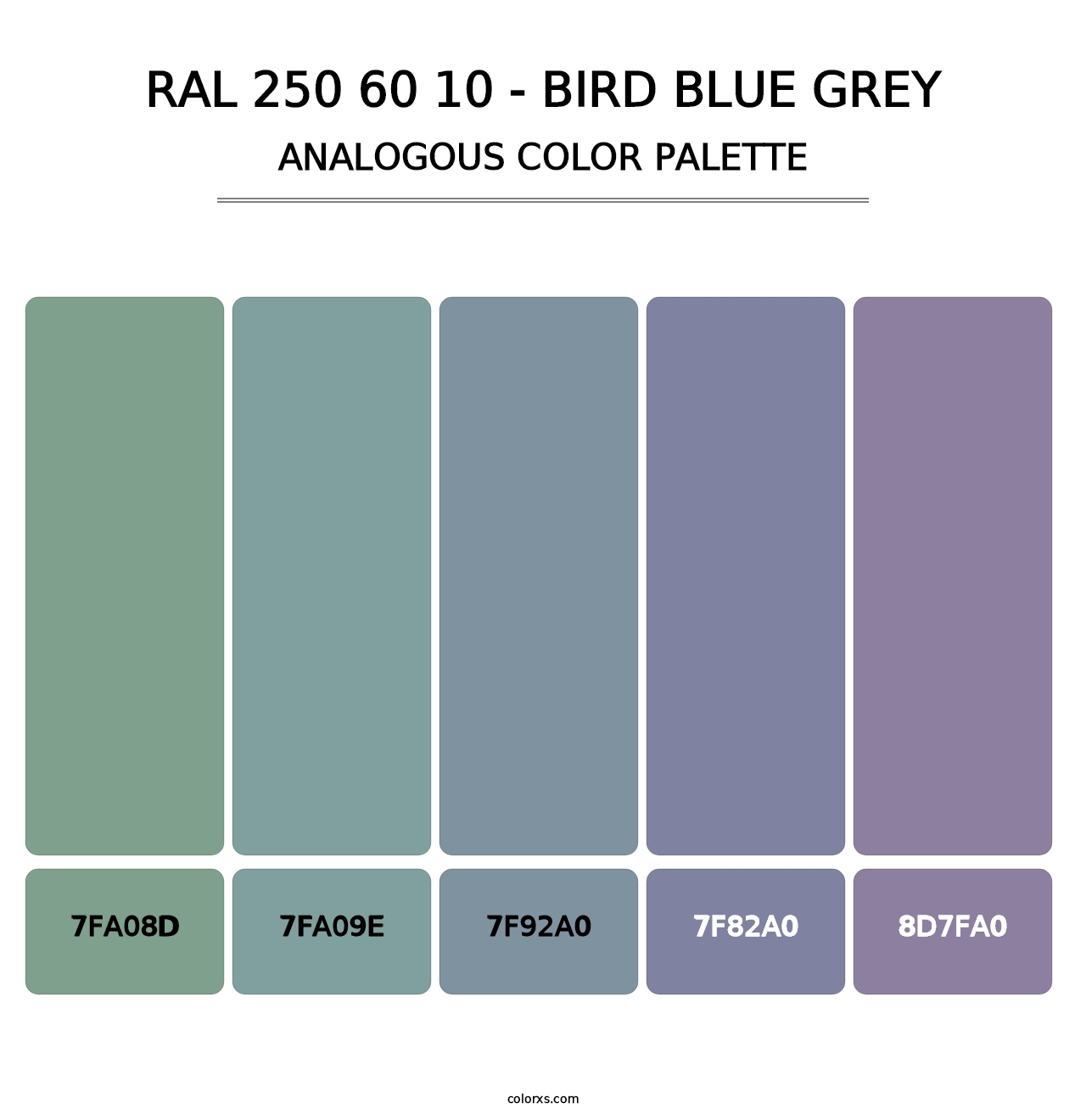 RAL 250 60 10 - Bird Blue Grey - Analogous Color Palette