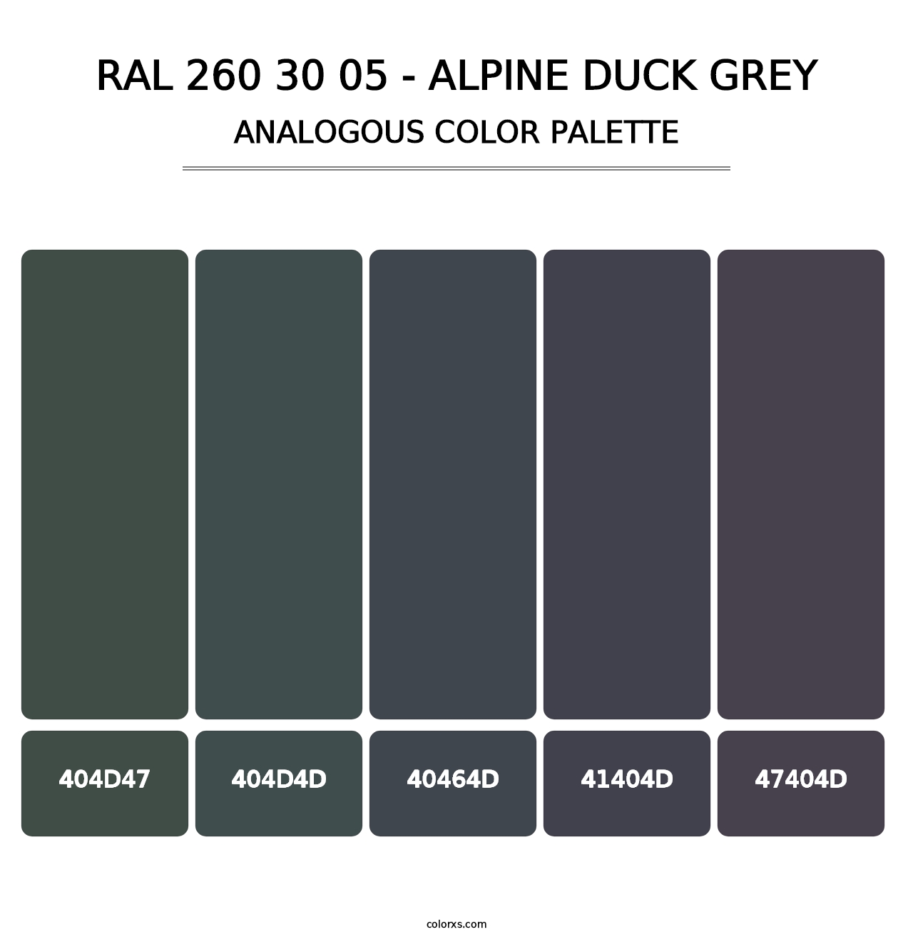 RAL 260 30 05 - Alpine Duck Grey - Analogous Color Palette