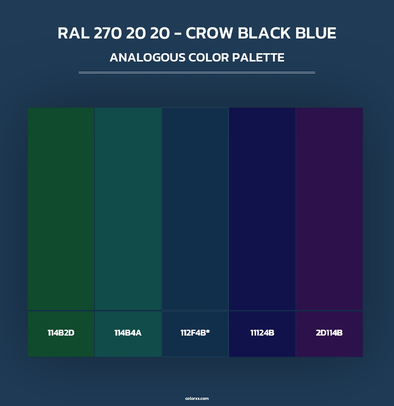 RAL 270 20 20 - Crow Black Blue - Analogous Color Palette