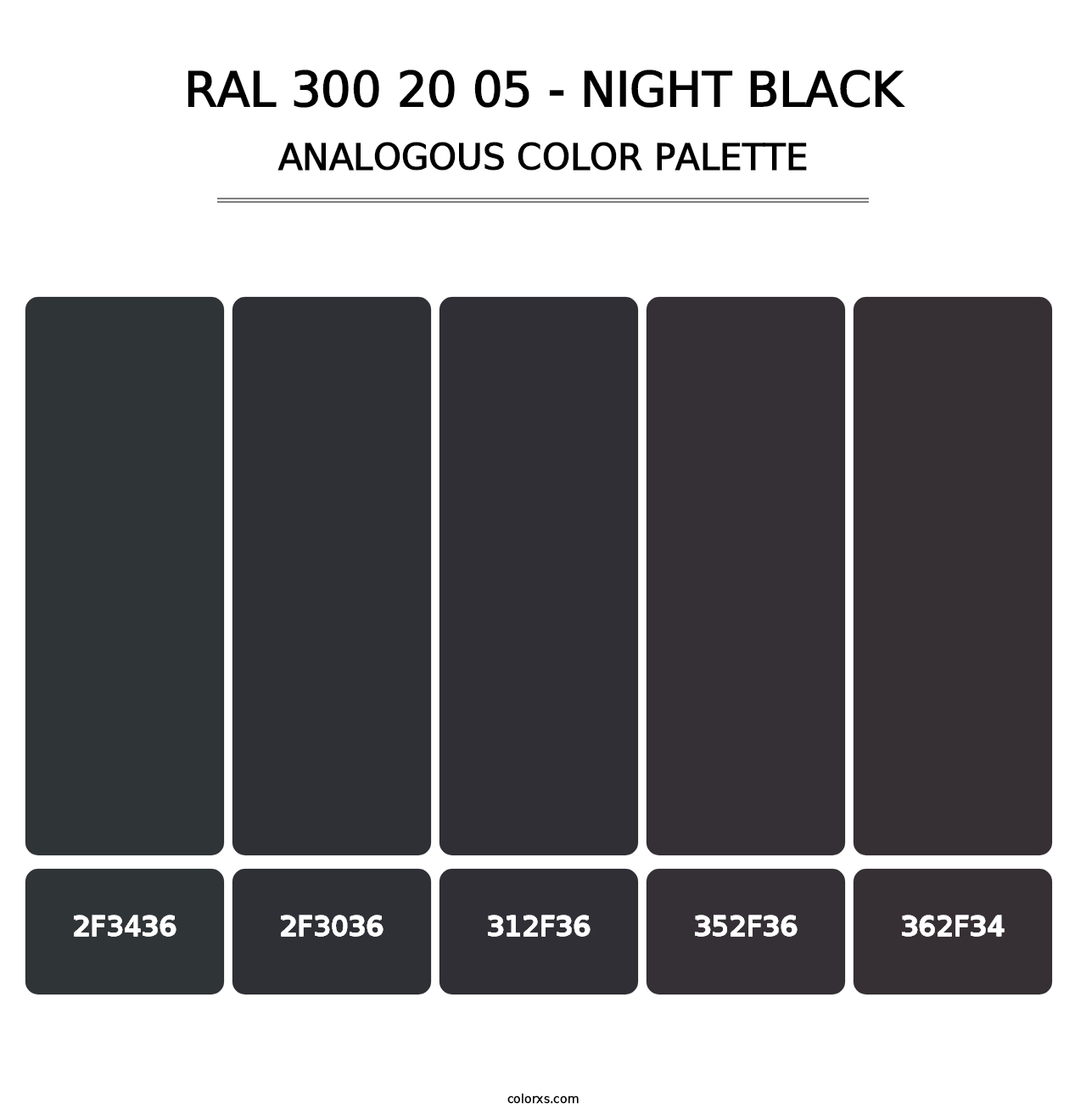 RAL 300 20 05 - Night Black - Analogous Color Palette