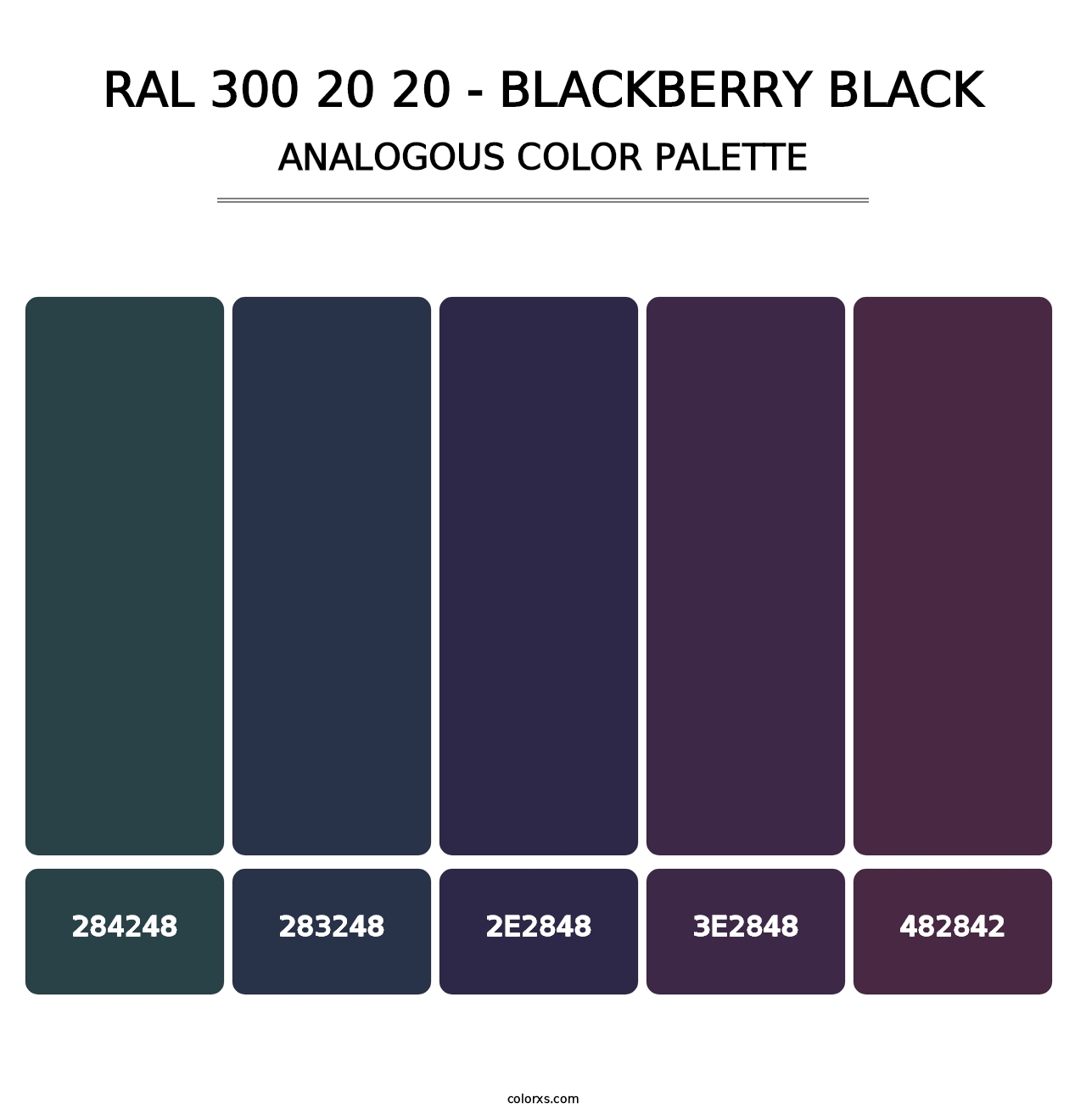 RAL 300 20 20 - Blackberry Black - Analogous Color Palette