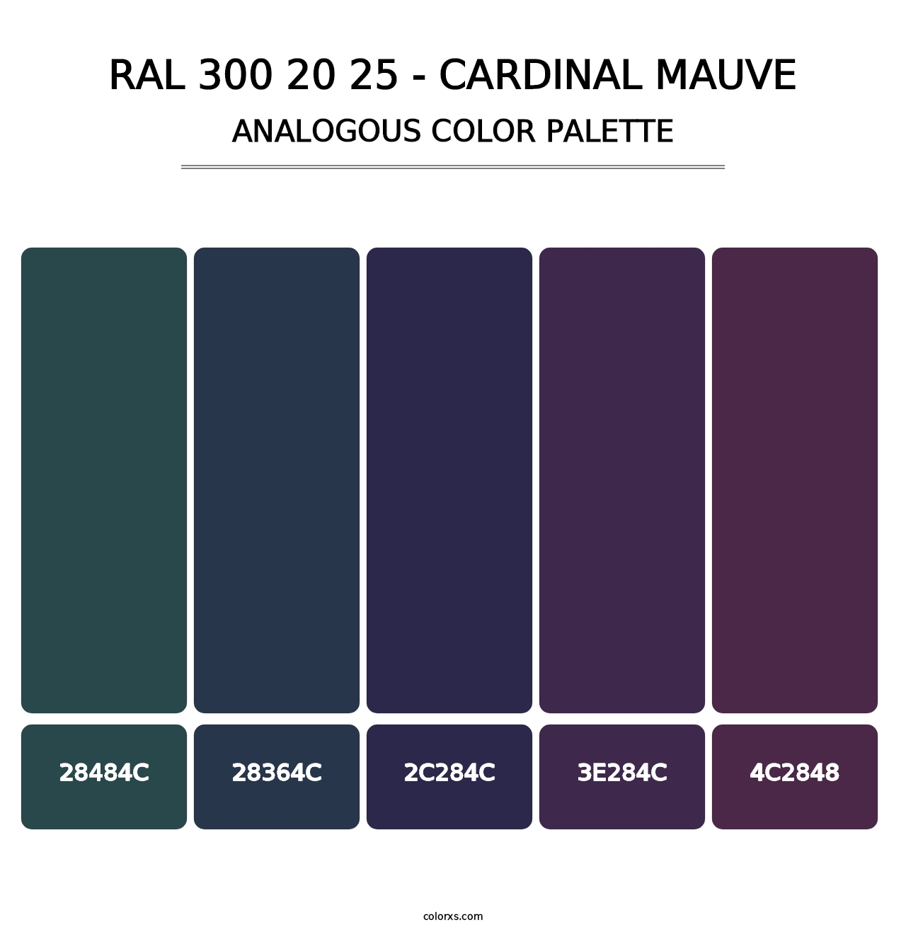 RAL 300 20 25 - Cardinal Mauve - Analogous Color Palette