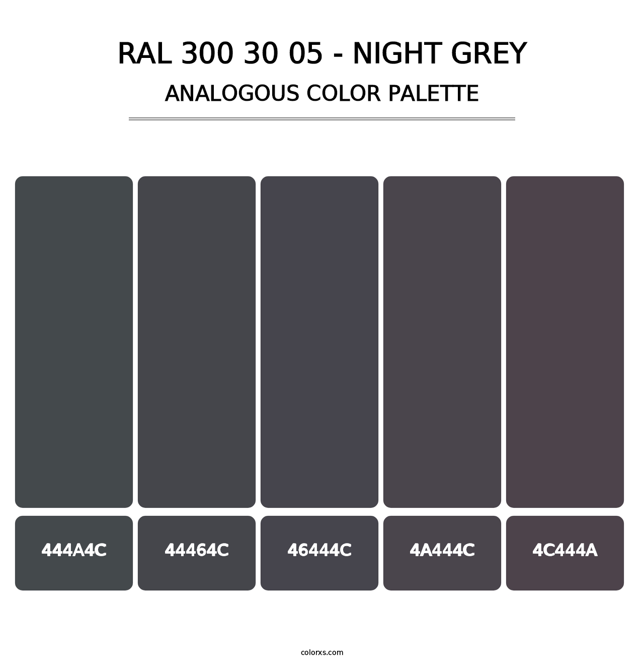 RAL 300 30 05 - Night Grey - Analogous Color Palette