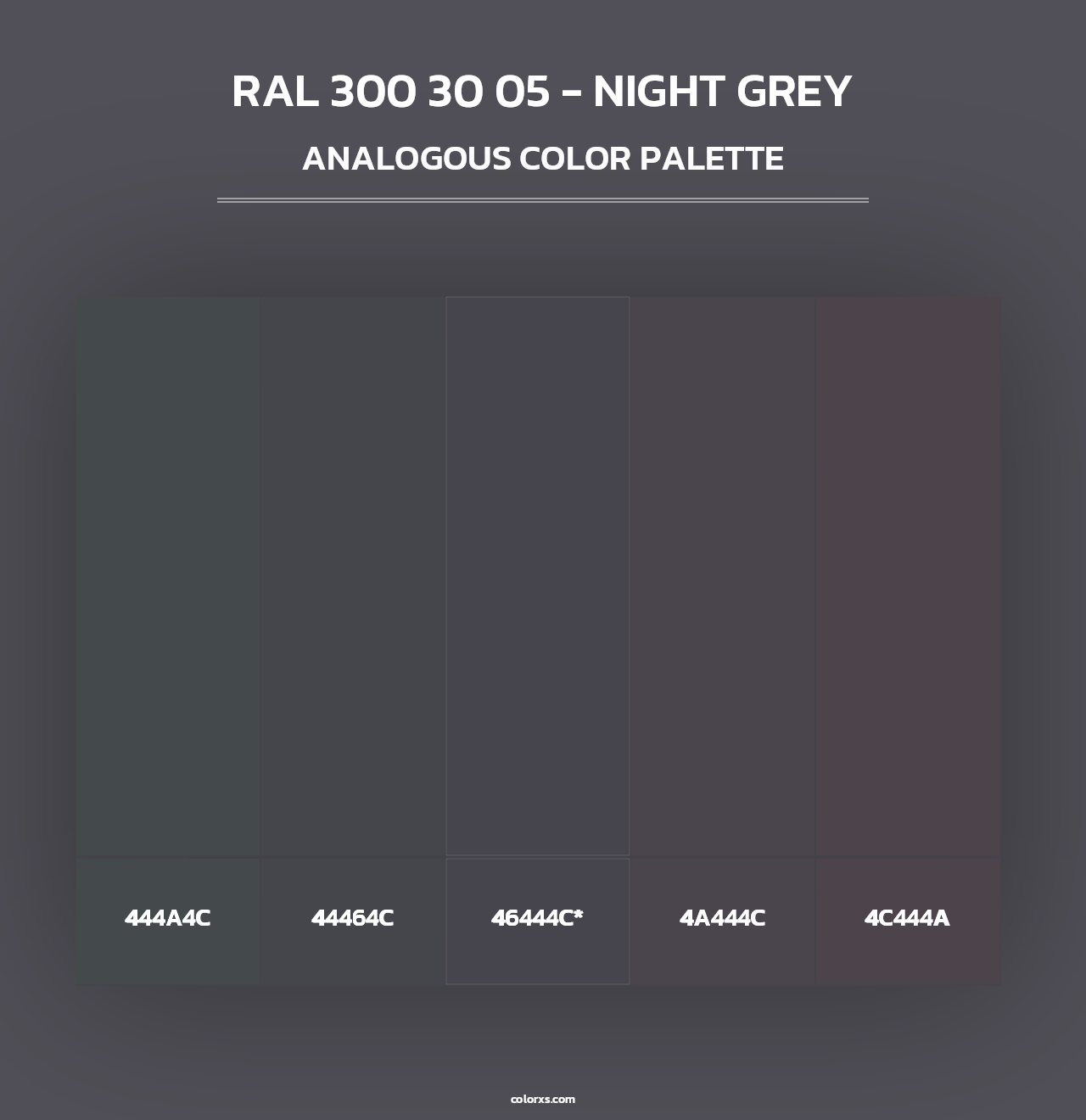 RAL 300 30 05 - Night Grey - Analogous Color Palette