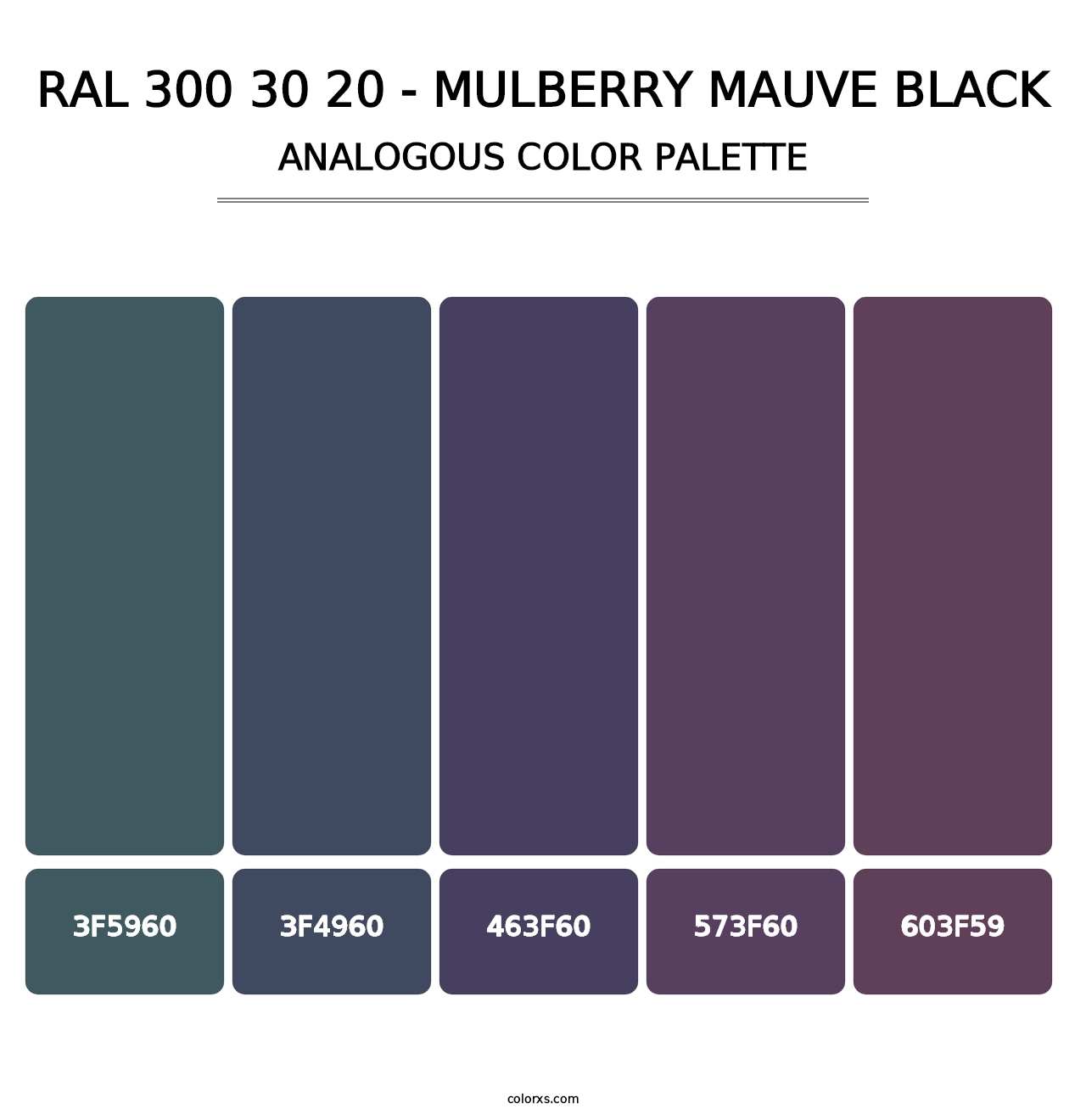 RAL 300 30 20 - Mulberry Mauve Black - Analogous Color Palette