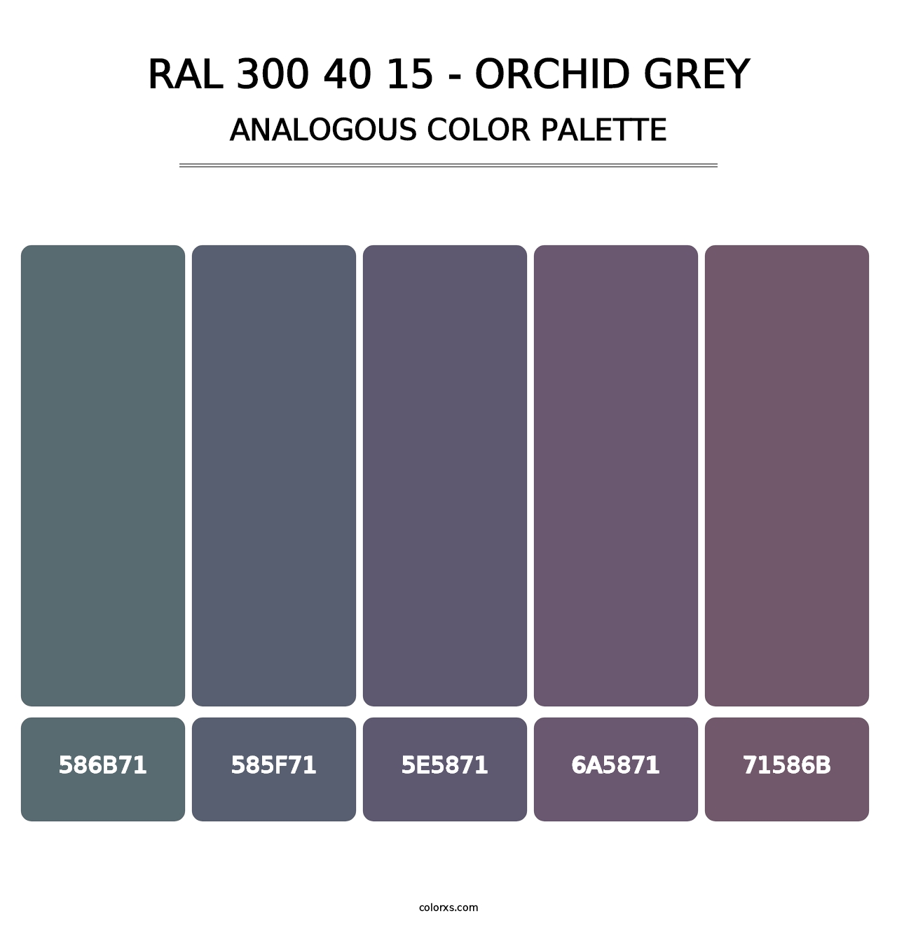 RAL 300 40 15 - Orchid Grey - Analogous Color Palette