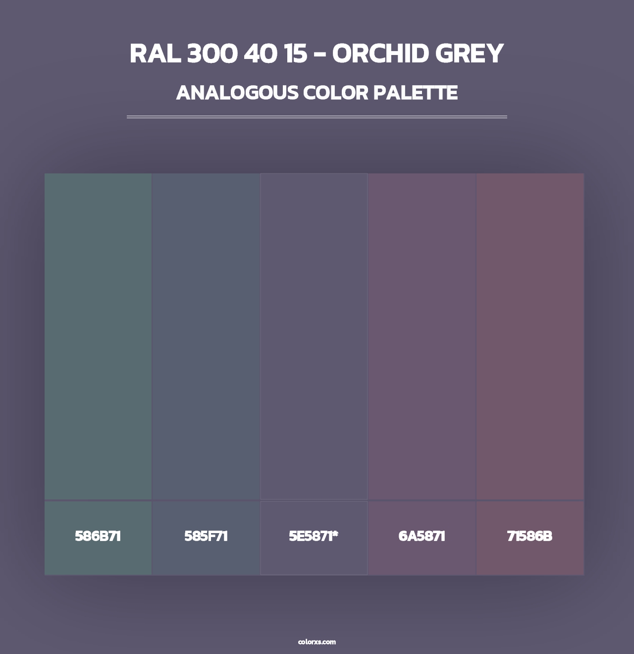 RAL 300 40 15 - Orchid Grey - Analogous Color Palette