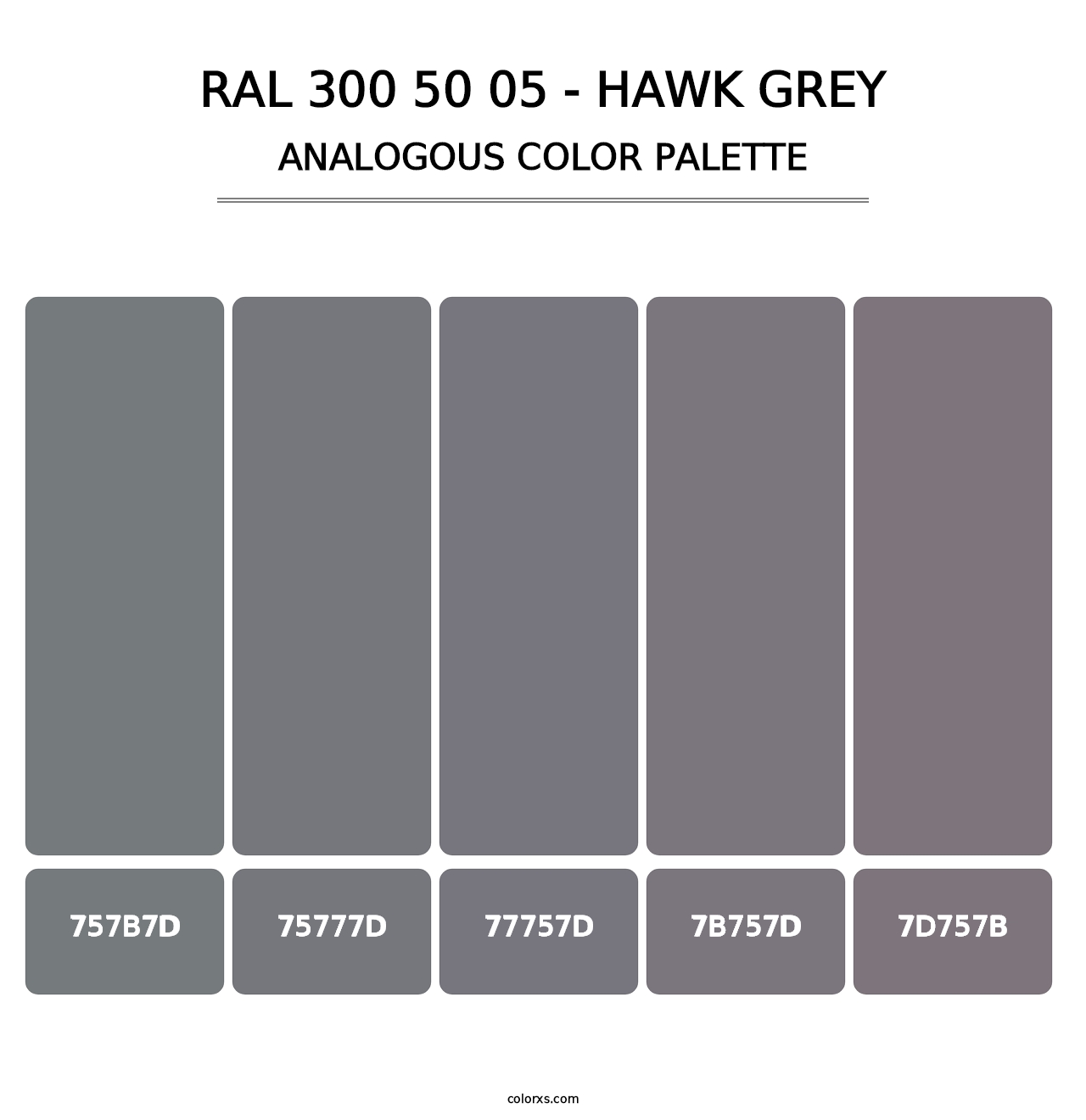 RAL 300 50 05 - Hawk Grey - Analogous Color Palette