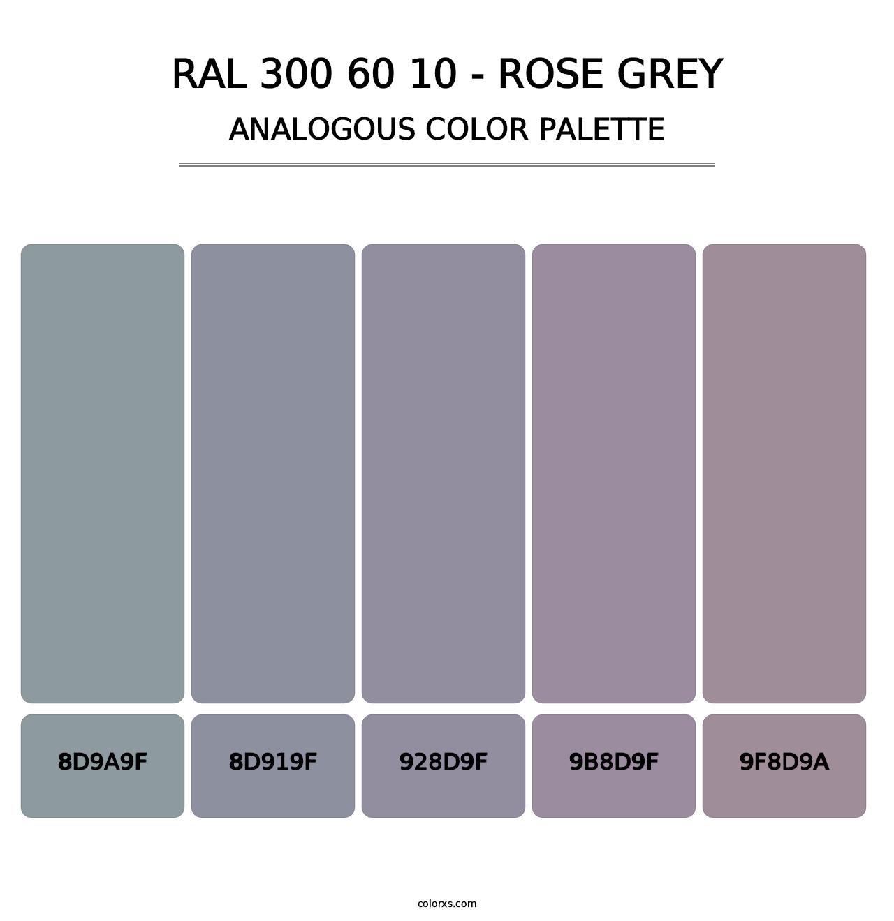 RAL 300 60 10 - Rose Grey - Analogous Color Palette