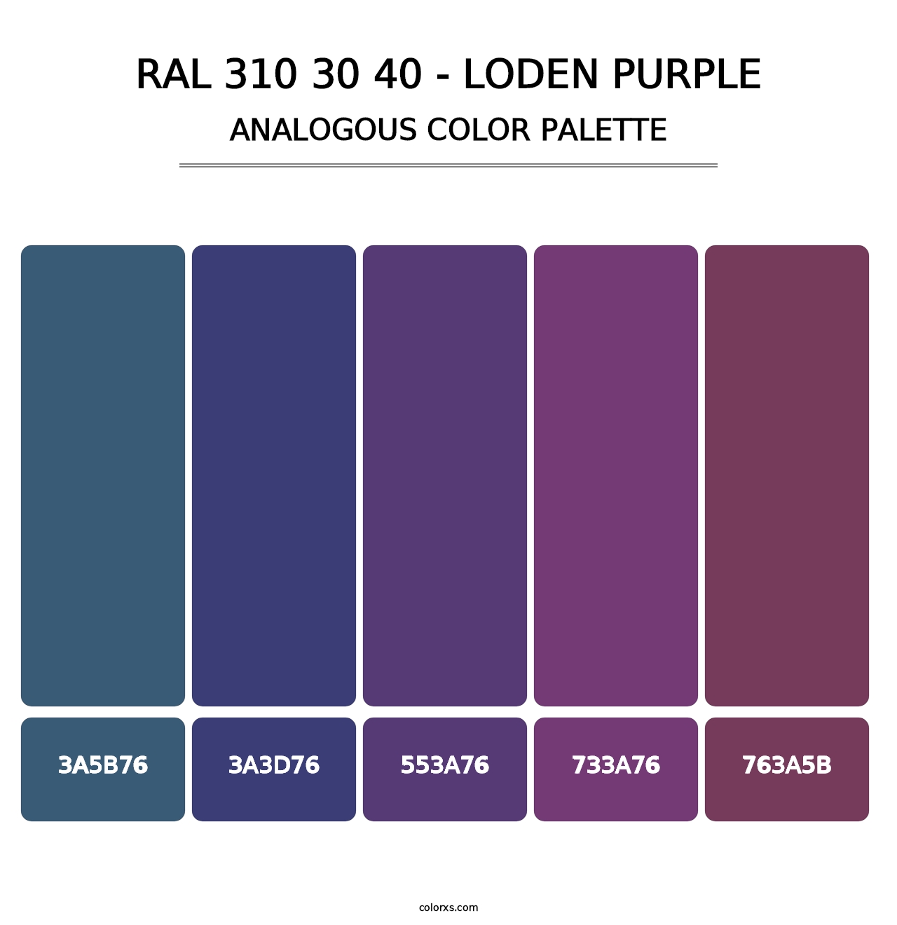 RAL 310 30 40 - Loden Purple - Analogous Color Palette
