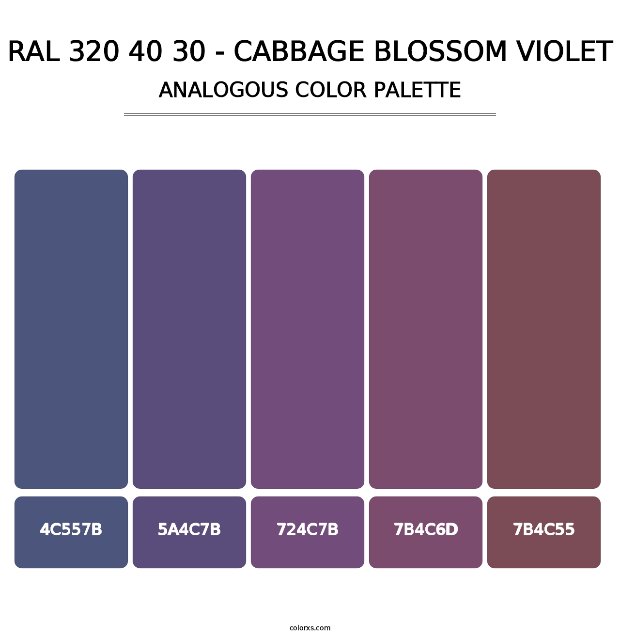 RAL 320 40 30 - Cabbage Blossom Violet - Analogous Color Palette