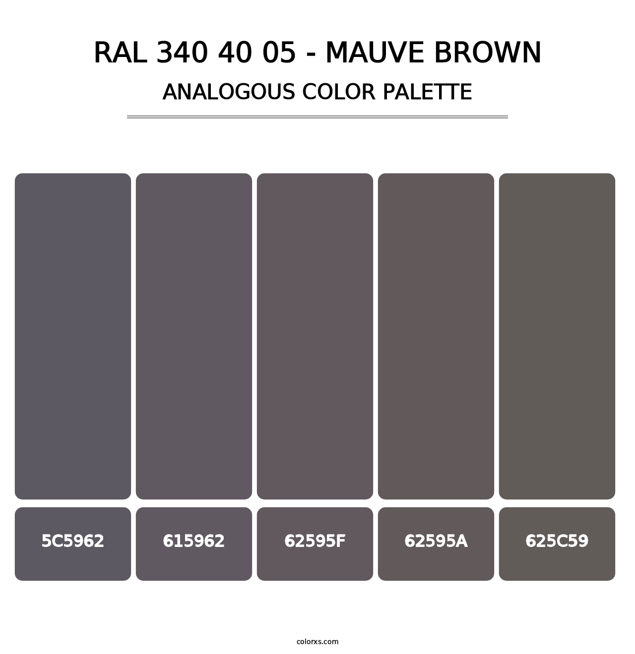 RAL 340 40 05 - Mauve Brown - Analogous Color Palette